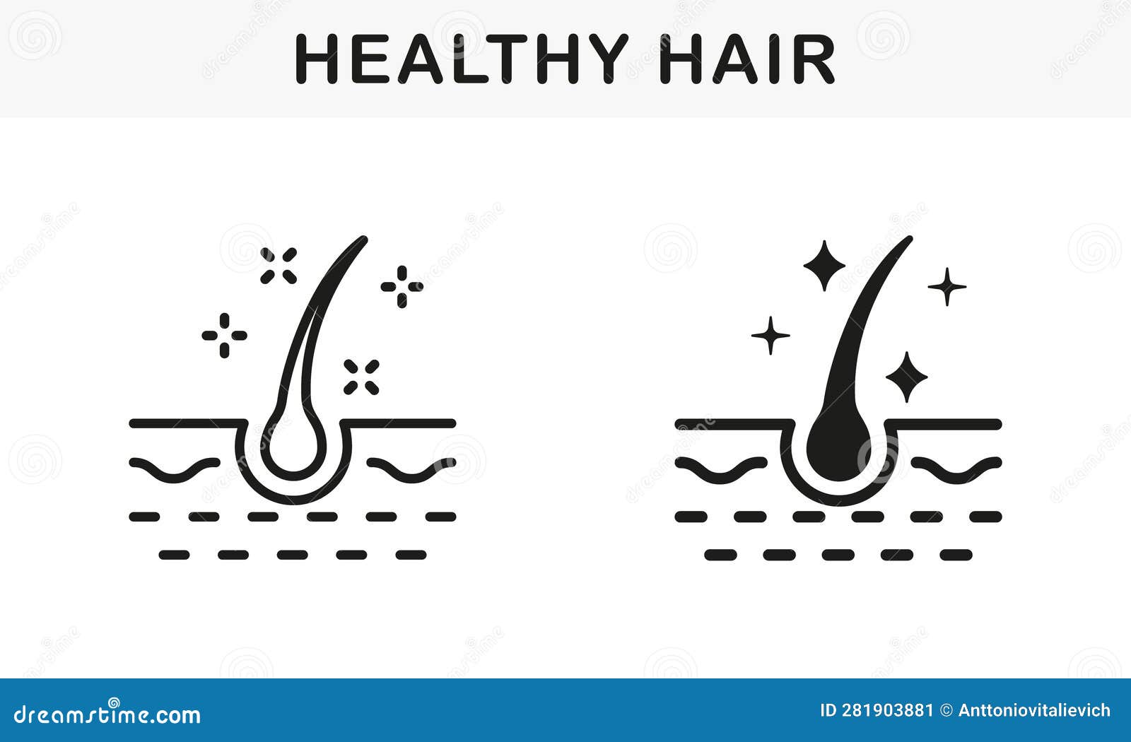Healthy Human Follicle Shine Line And Silhouette Black Icon Set. Glossy Healthy Human Follicle Shine Line And Silhouette Black Icon Set. Glossy