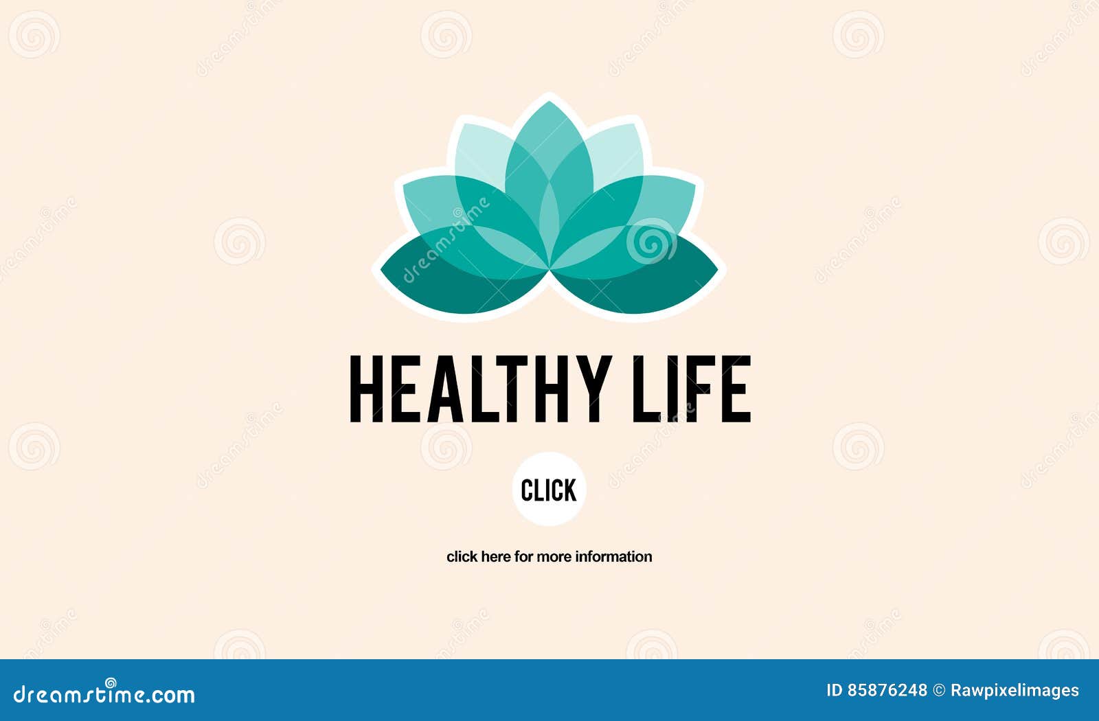 healthy life vitality physical nutrition personal development co