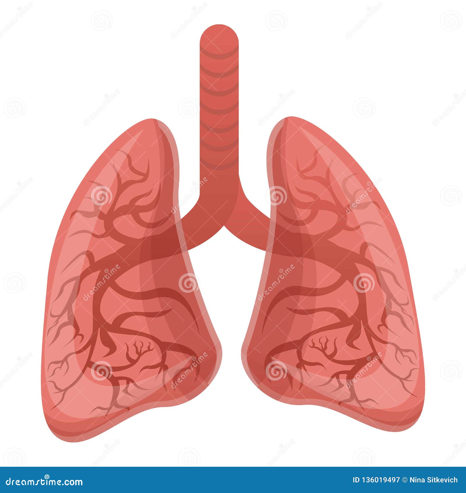 Healthy Lungs Icon, Cartoon Style Stock Vector - Illustration of habit,  care: 136019497