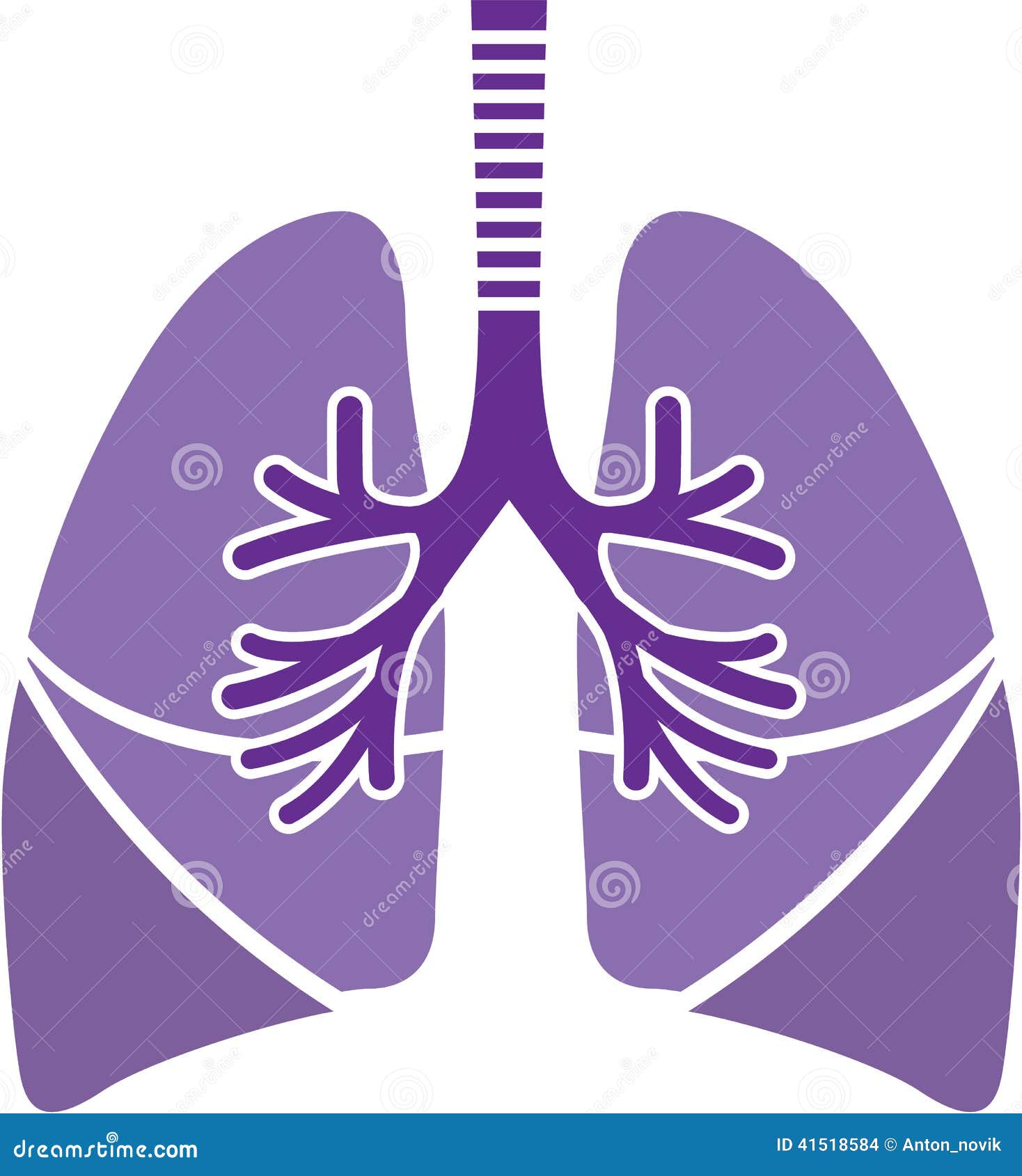 healthy lungs