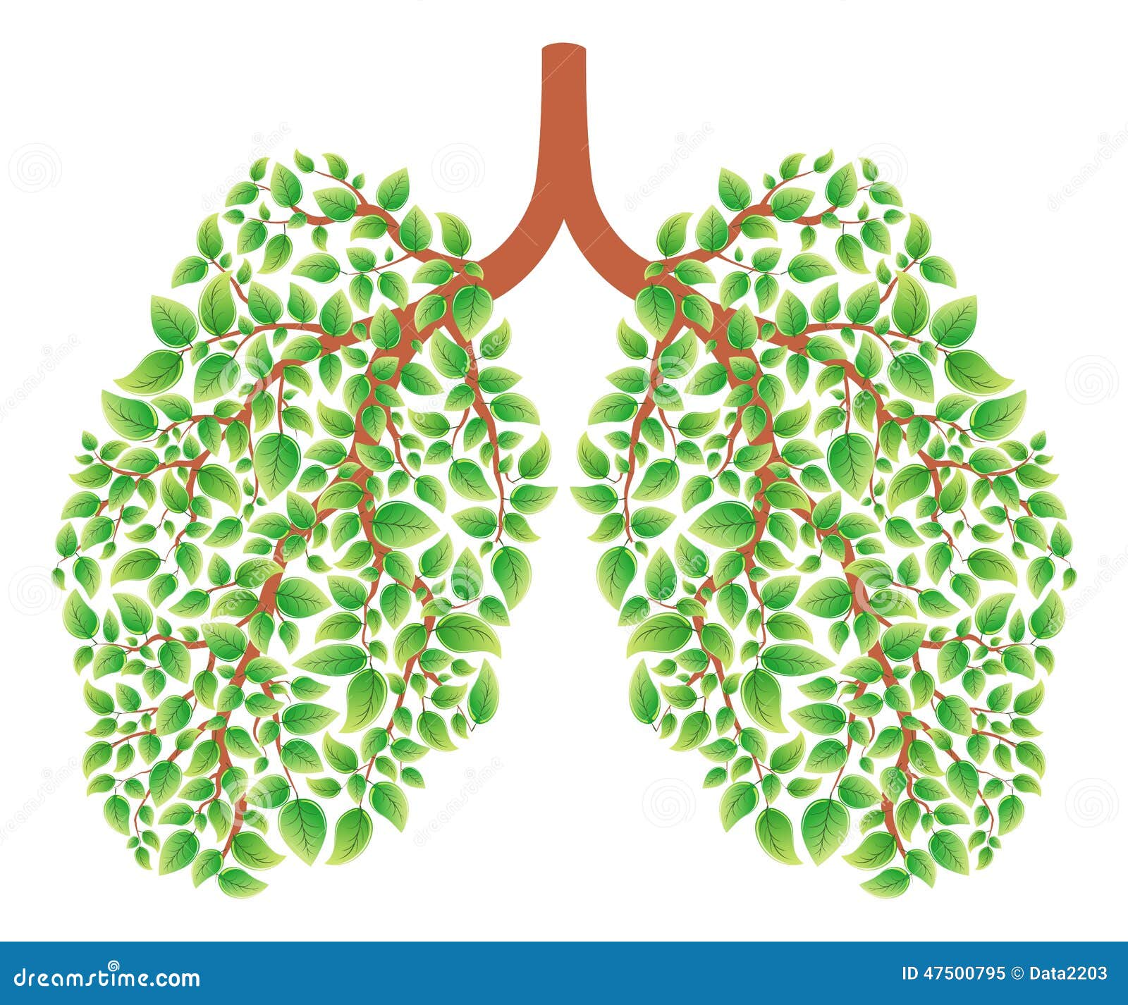 healthy lungs