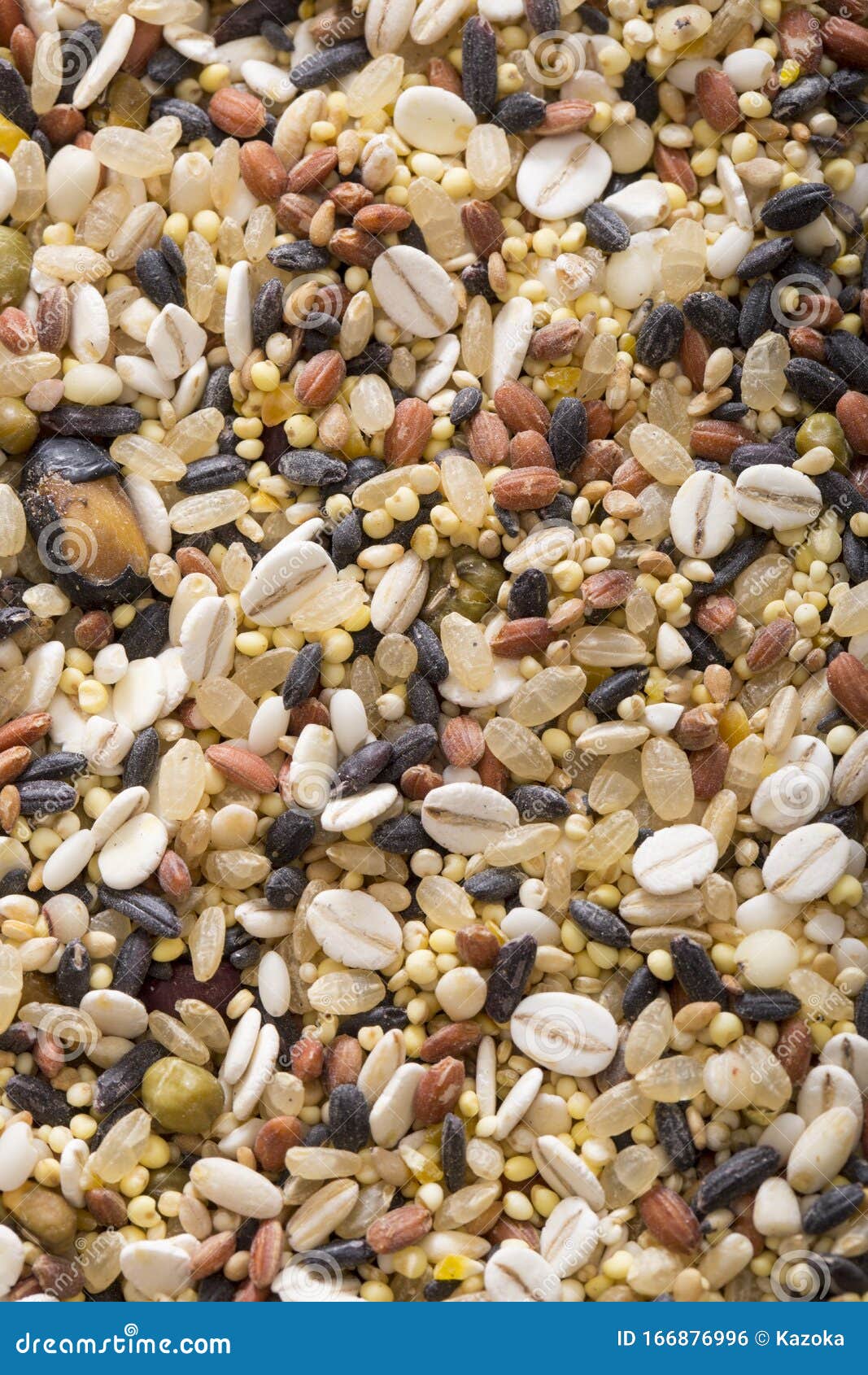 Healthy millet rice stock photo. Image of agriculture 166876996