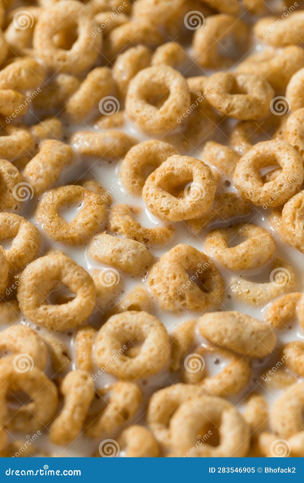 Healthy Oat Breakfast Cereal Rings Stock Image Image of breakfast