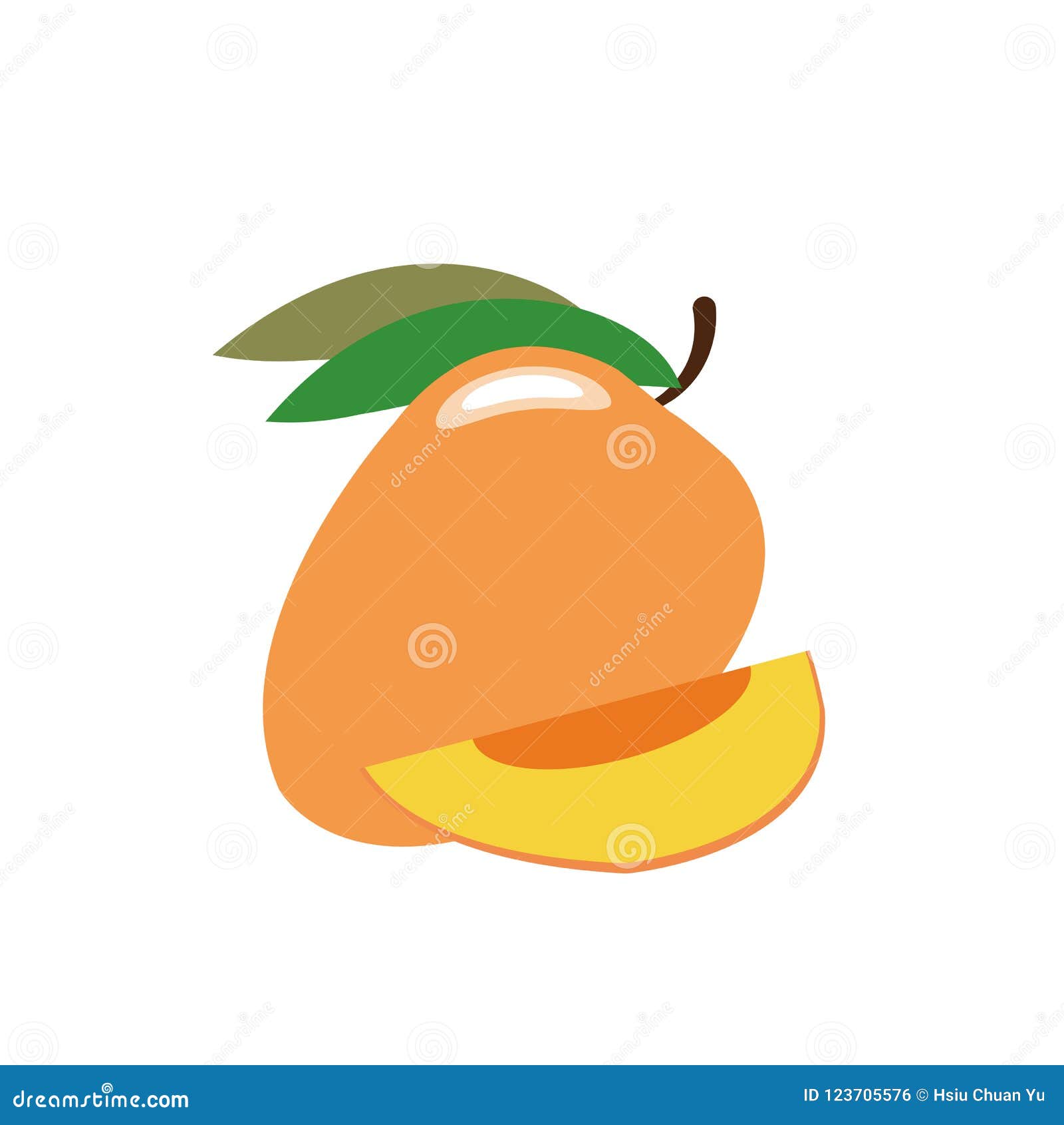 A Nature Healthy Organic Mango Stock Vector - Illustration of seed ...