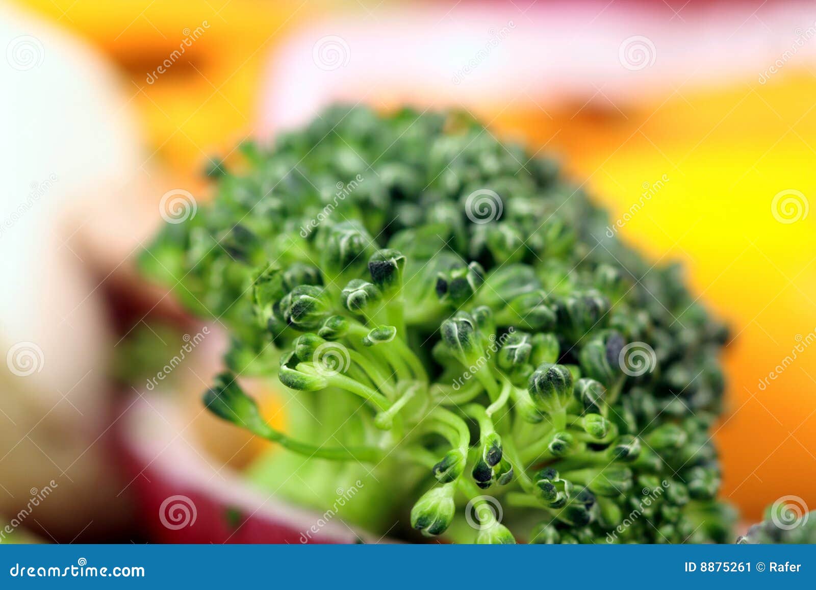 Healthy Organic Salad Soft Close Up Stock Image Image of groceries