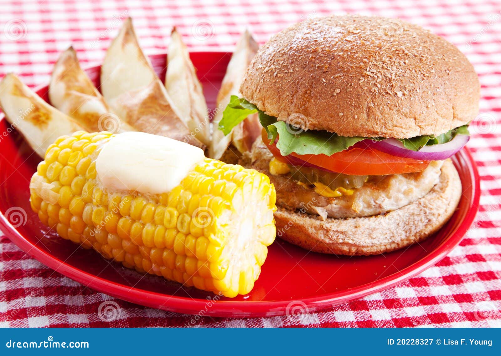 Healthy Picnic Meal stock image. Image of picnic, healthy 20228327