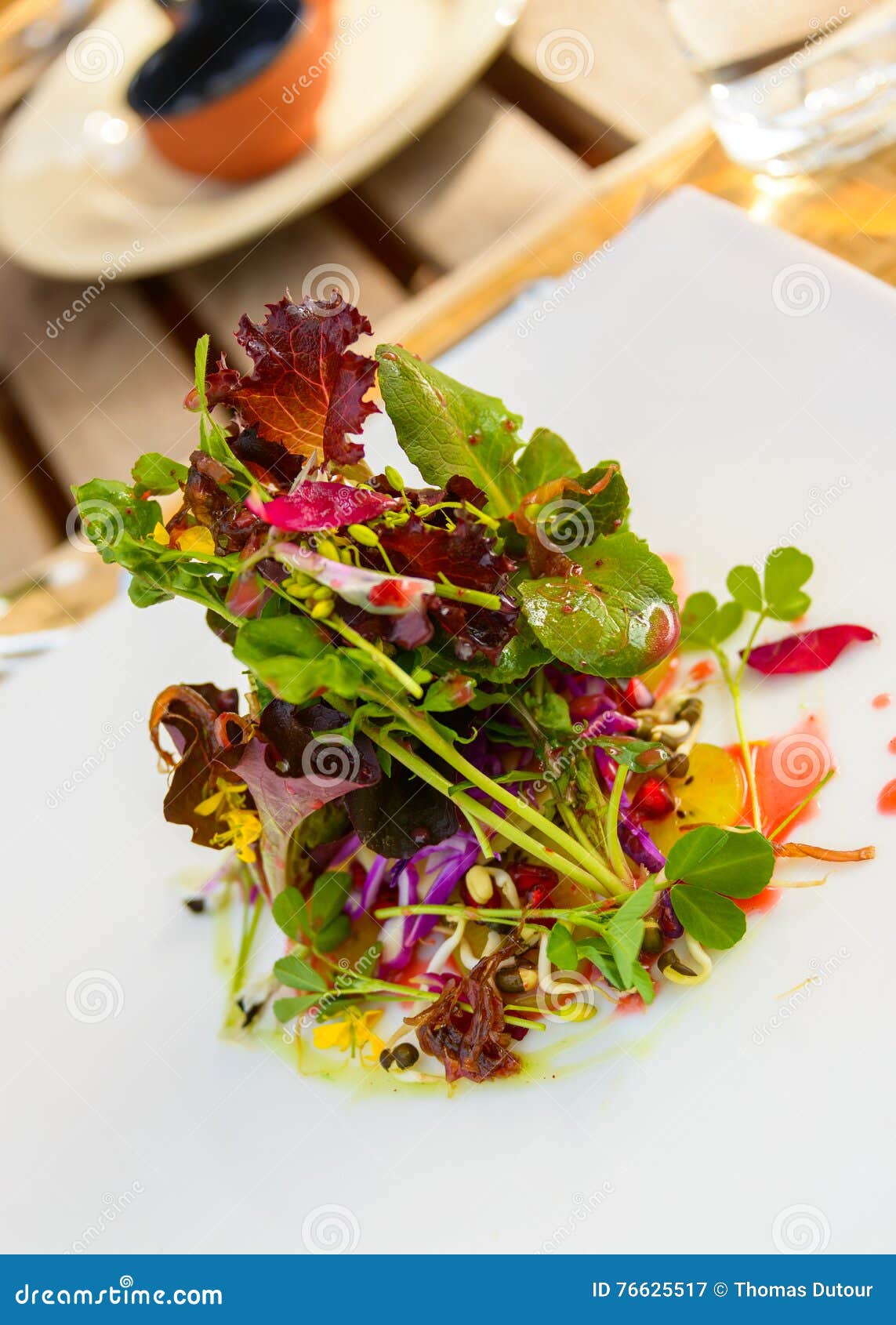 Healthy Salad in a Restaurant Stock Image Image of pomegranate