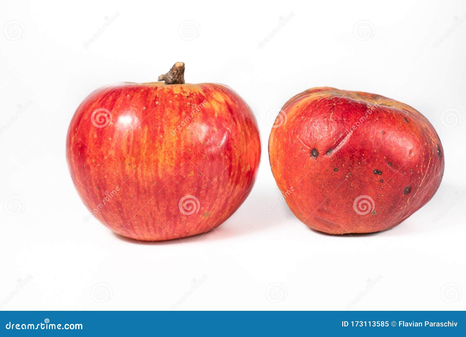 A Healthy, Shiny Apple and an Old Apple, Stock Image Image of