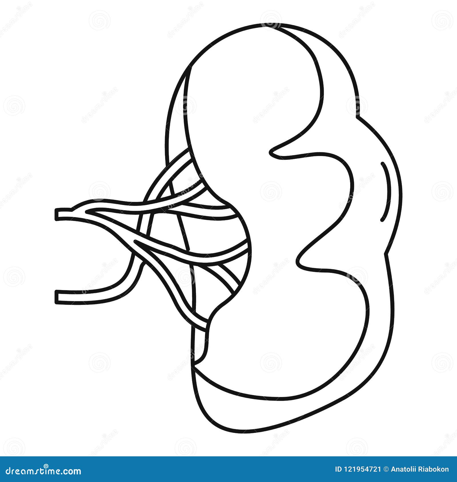 Healthy Spleen Icon, Outline Style Stock Vector - Illustration of icon ...