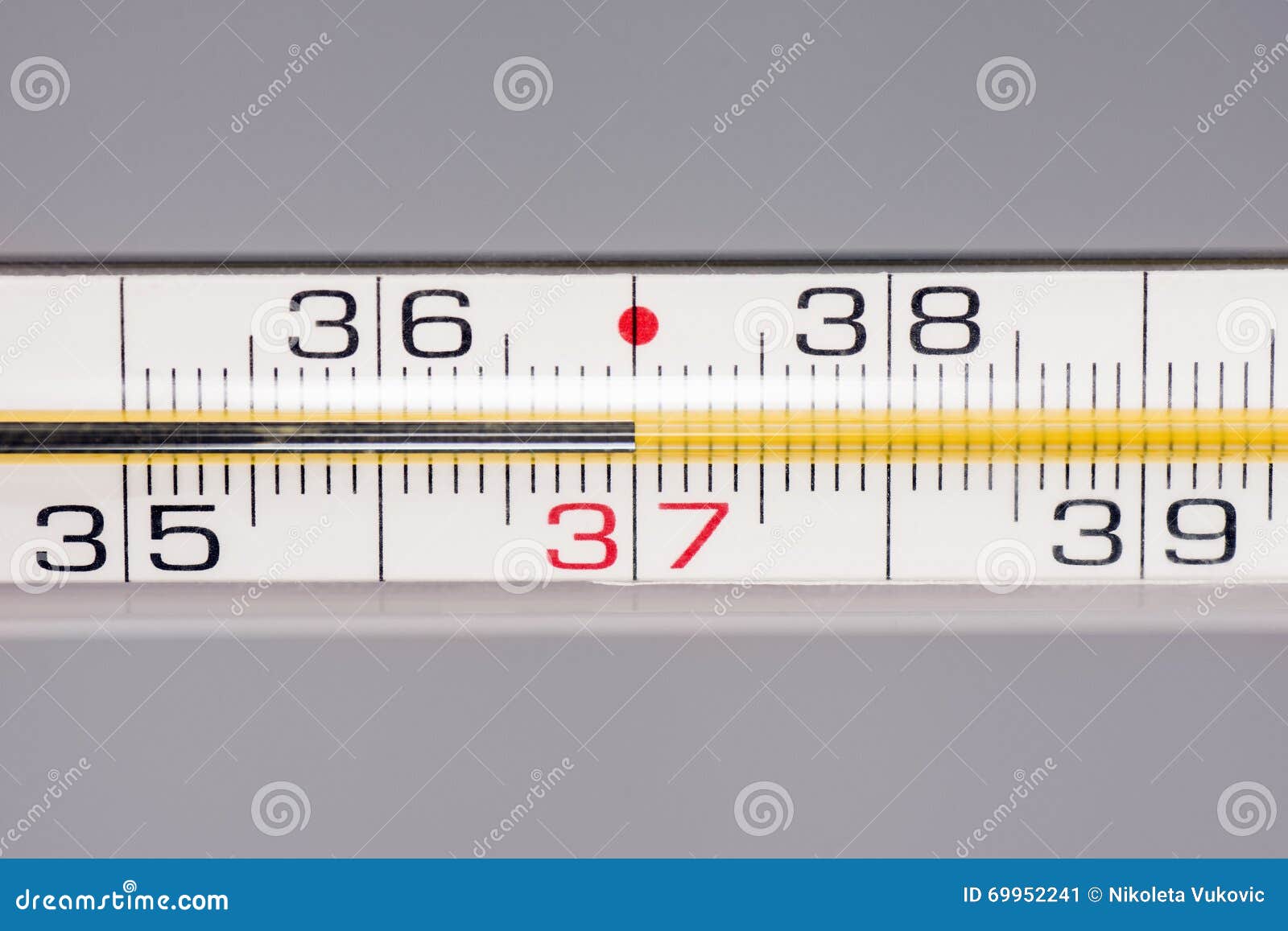Healthy Temperature on Thermometer Stock Image Image of celsius