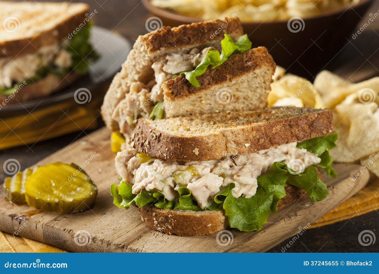 Healthy Tuna Sandwich with Lettuce Stock Image Image of white