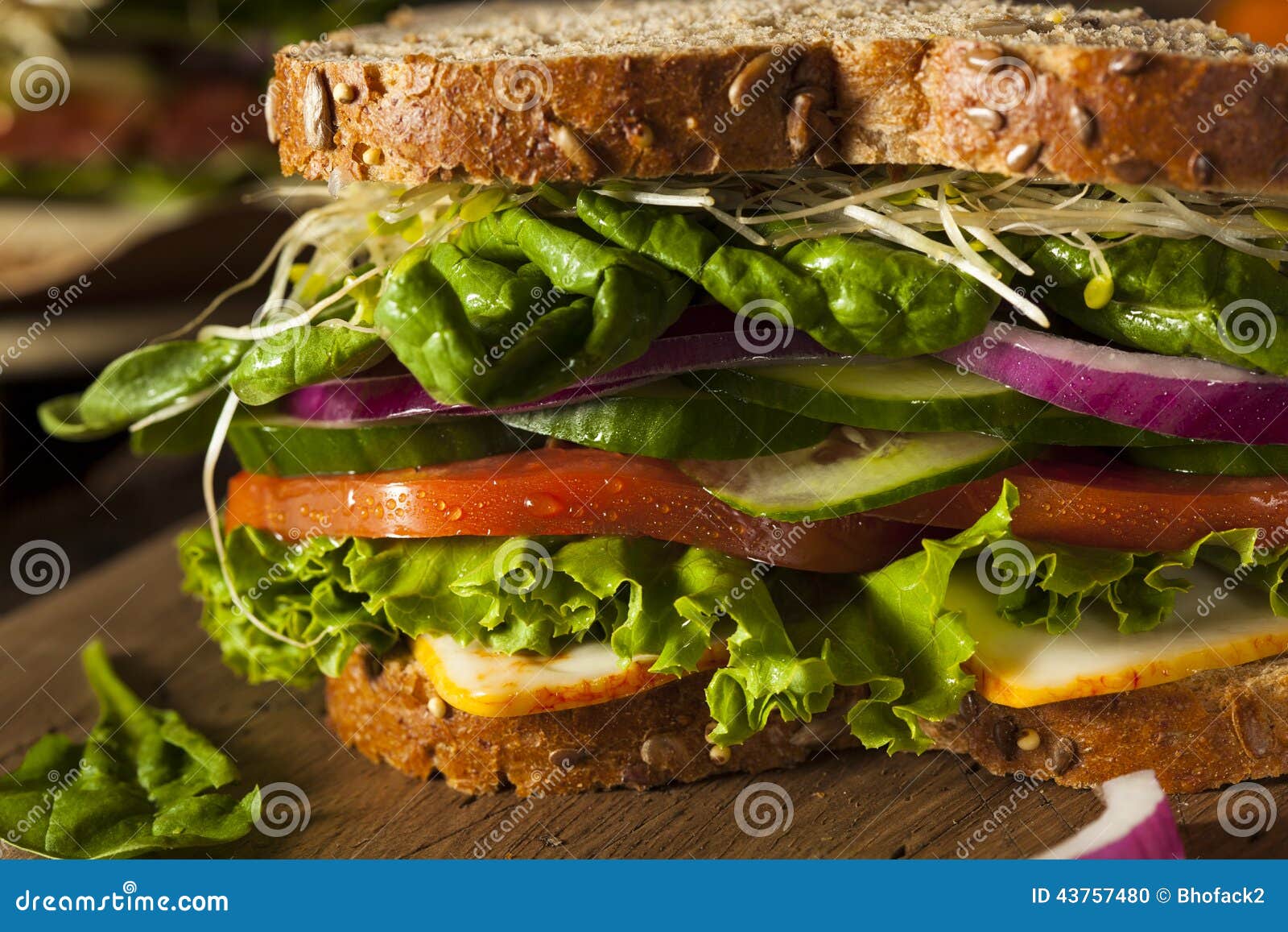 Healthy Vegetarian Veggie Sandwich Stock Photo - Image of lettuce