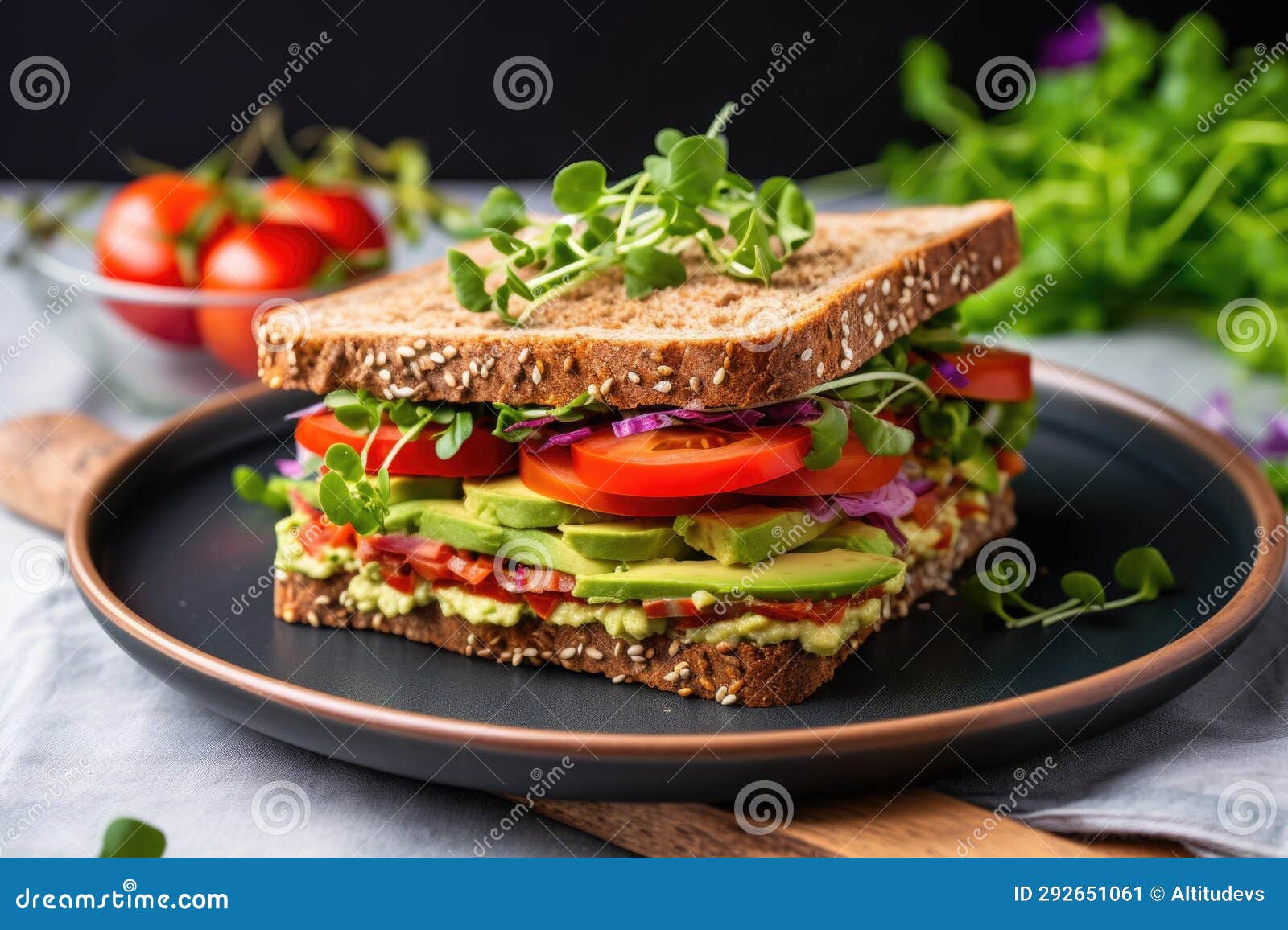 Healthy Veggie Sandwich on Rye Bread on Ceramic Plate Stock Image