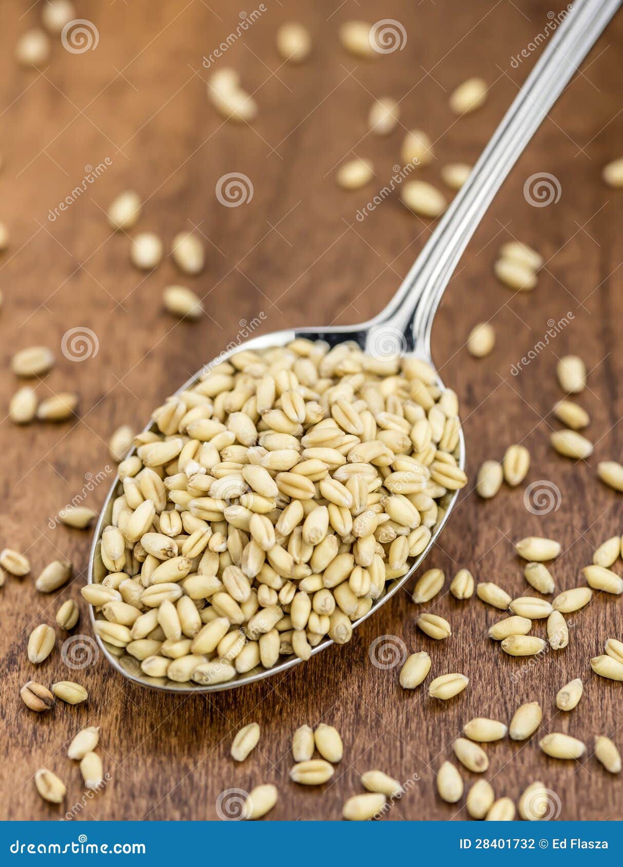 Healthy wheat berries stock photo. Image of berries, food 28401732