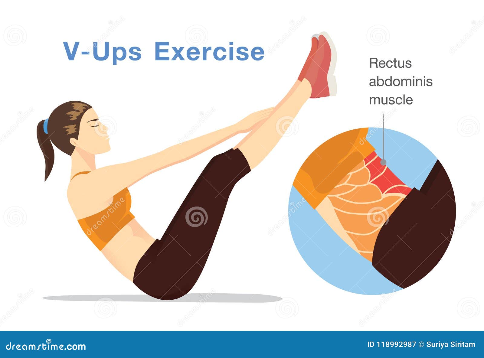 Healthy Woman Challenging the Rectus Abdominis Muscle with V-Ups