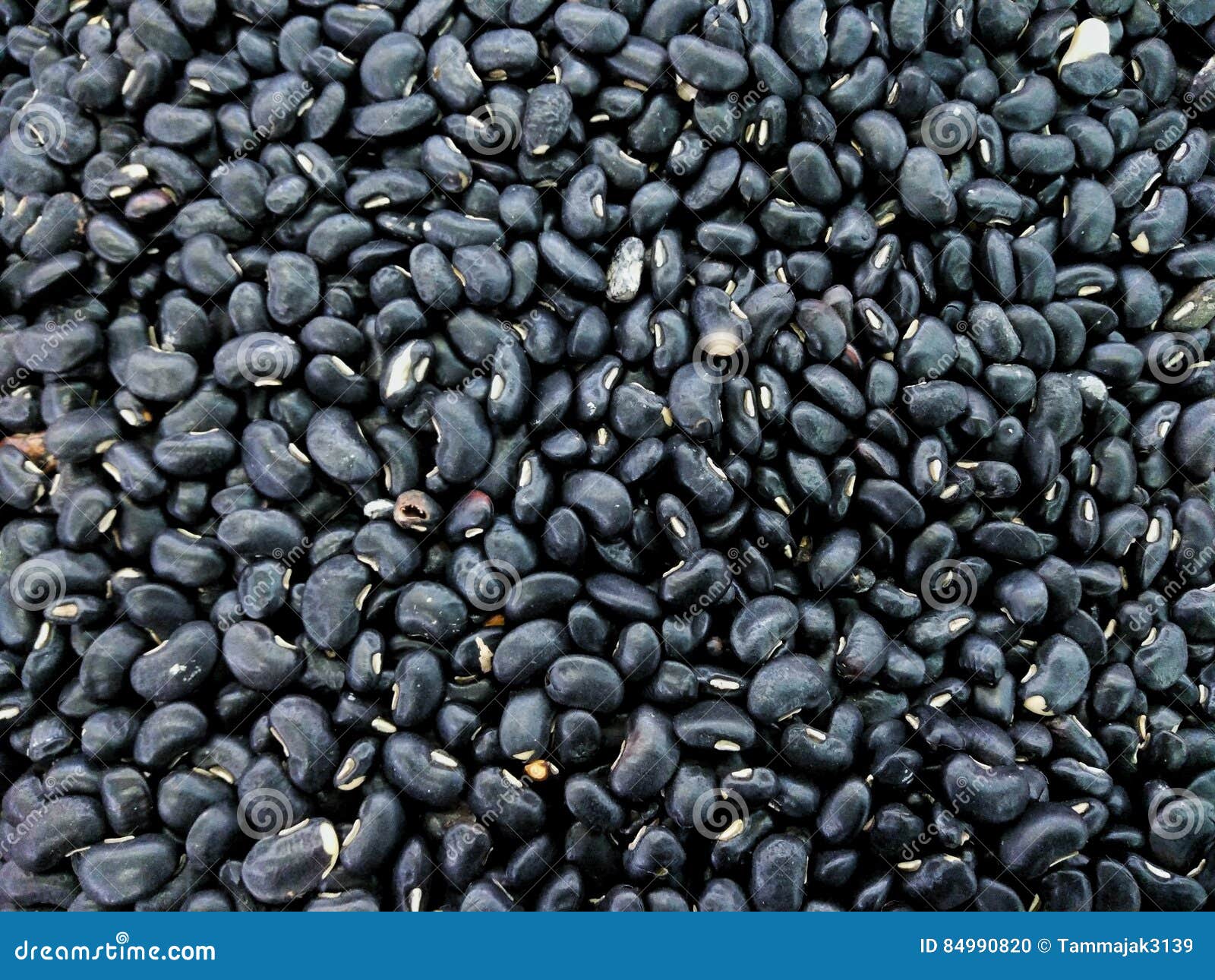Heap of black beans stock photo. Image of protein, high 84990820
