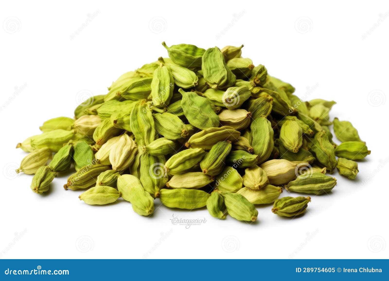 Heap of Cardamom Pods Isolated on a White Background Stock Illustration
