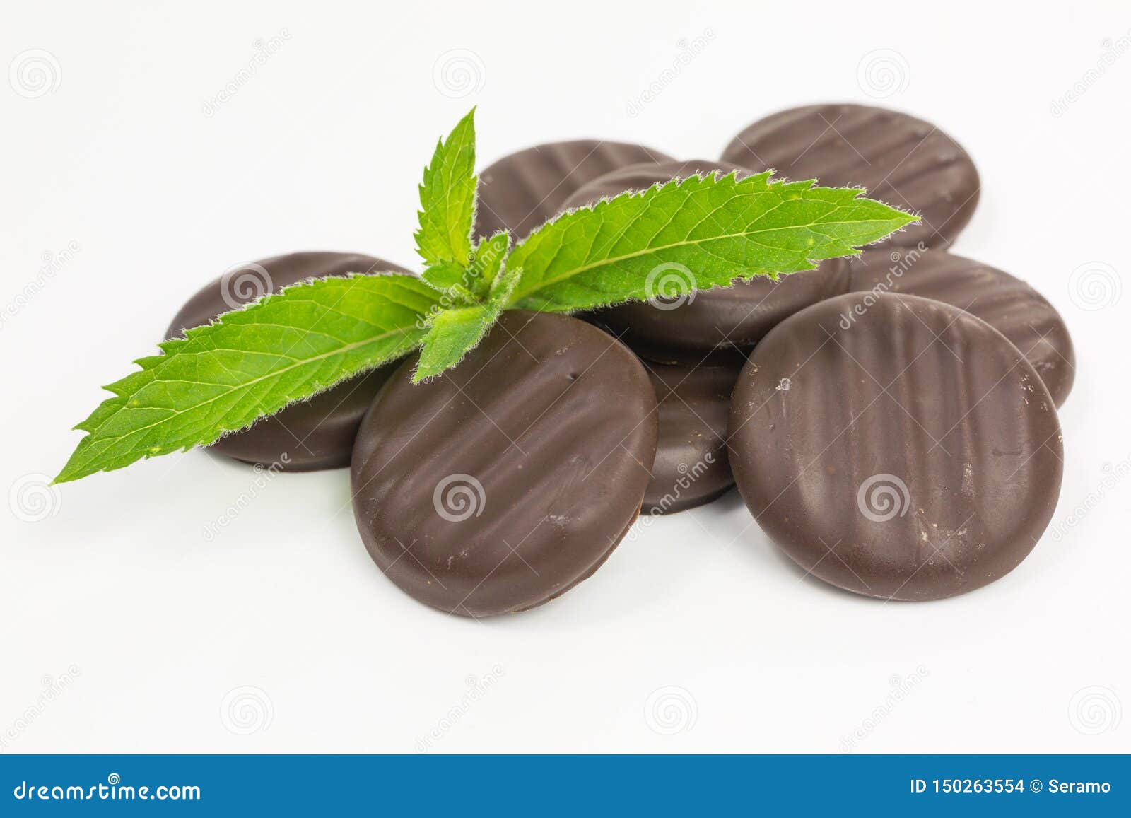 Mint chocolate discs stock photo. Image of brown, piece 150263554