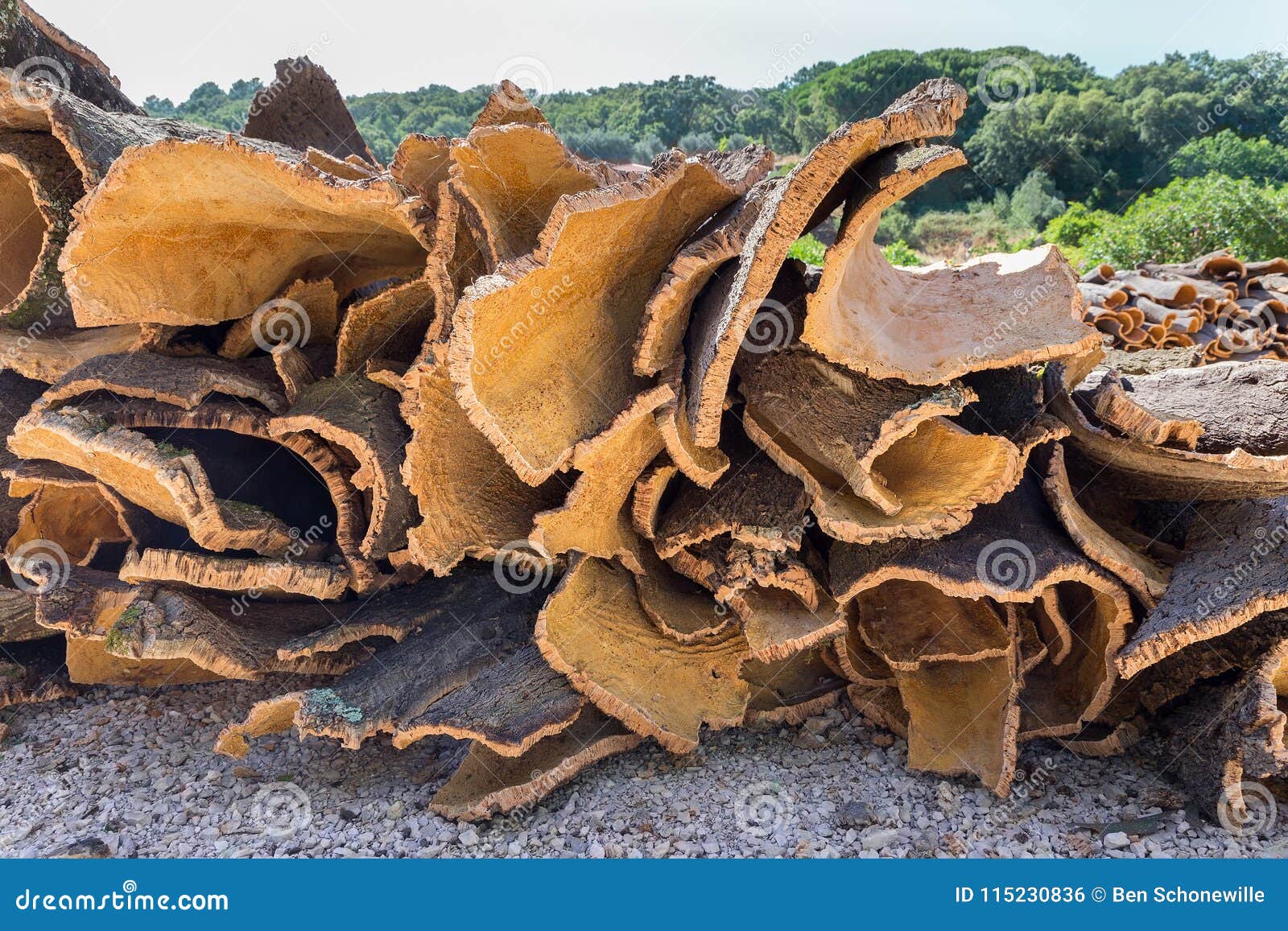heap of cork tree bark as raw commodity