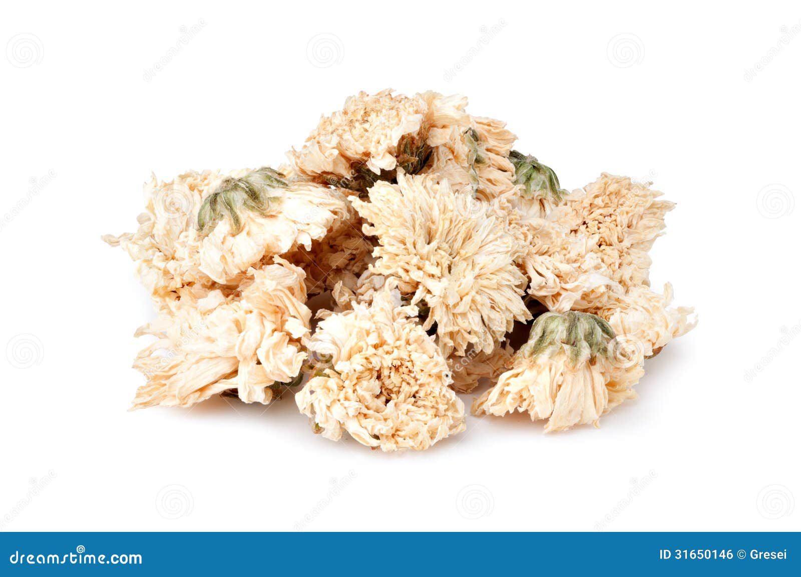 Heap of Dried Chrysanthemum Flowers Stock Photo Image of herbal