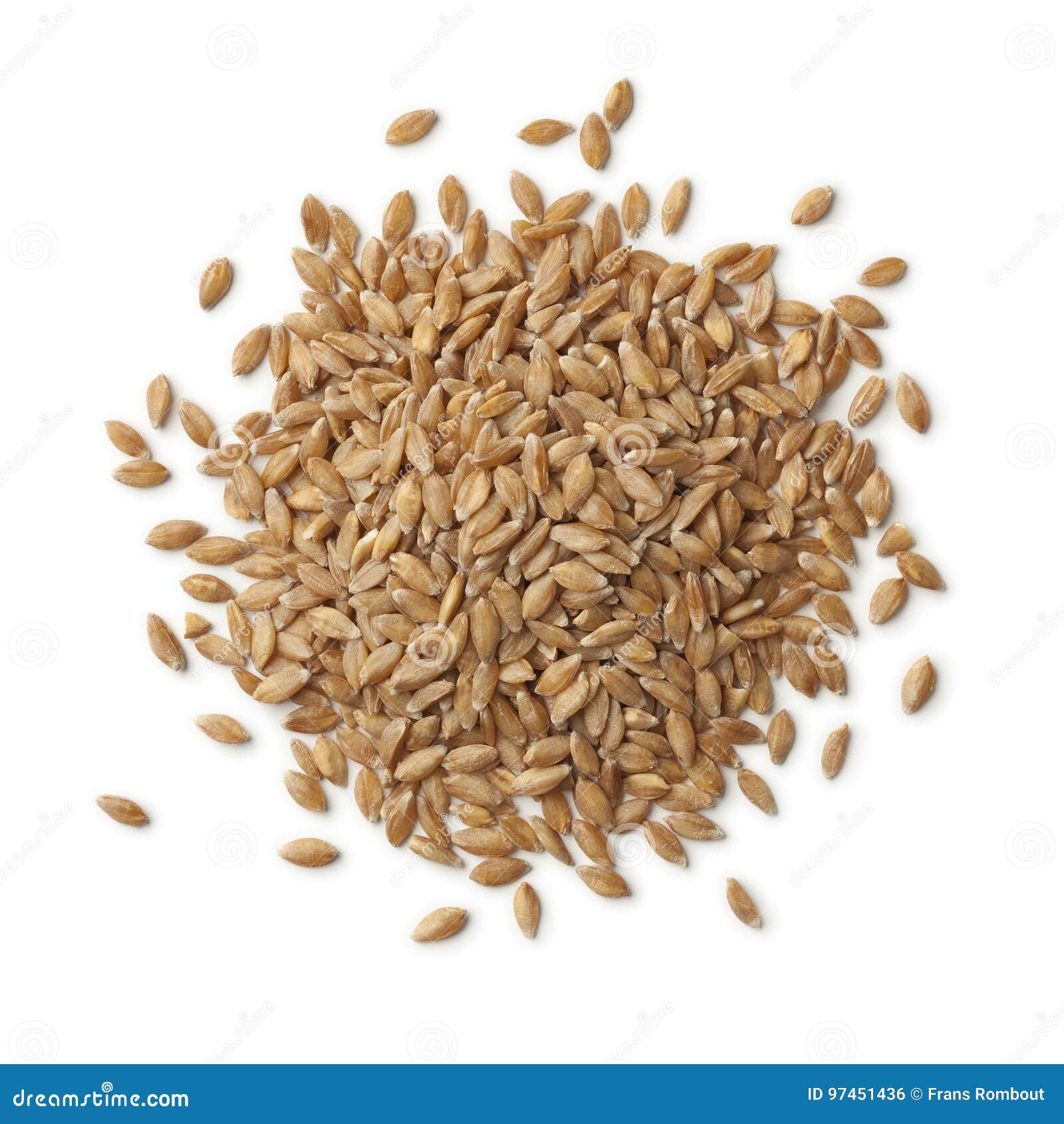 heap of einkorn wheat seeds