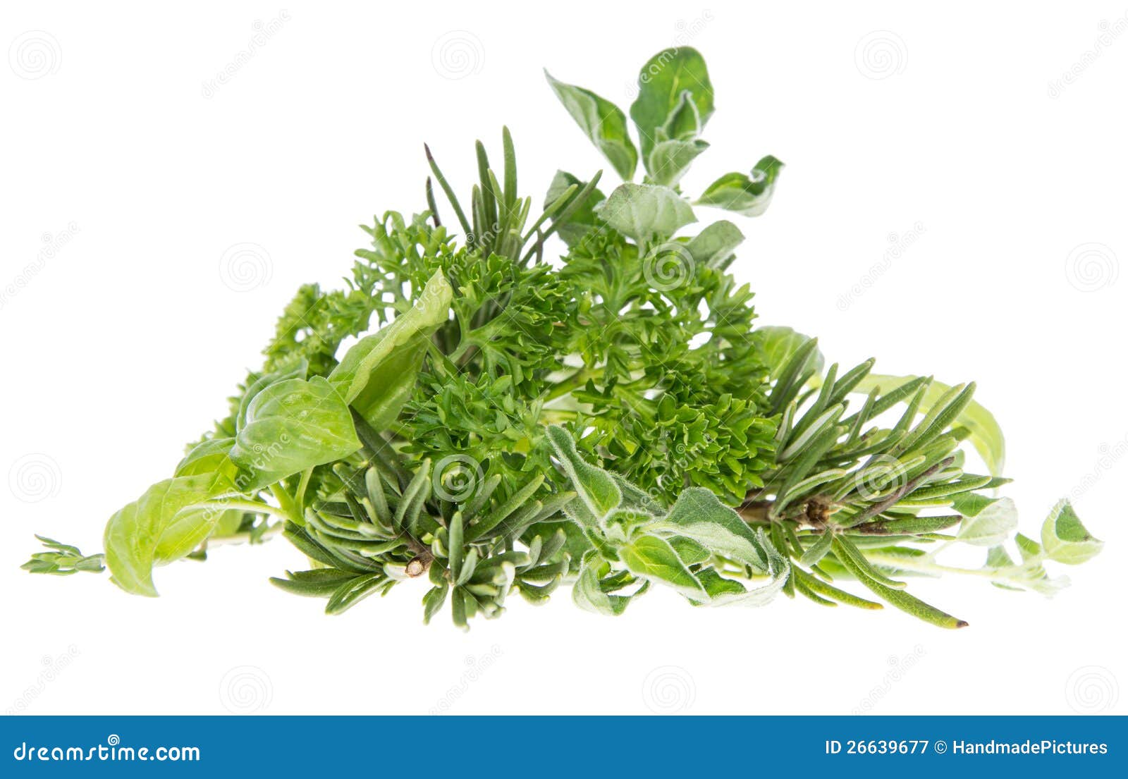 Heap of Fresh Herbs Isolated on White Stock Image Image of macro, group 26639677