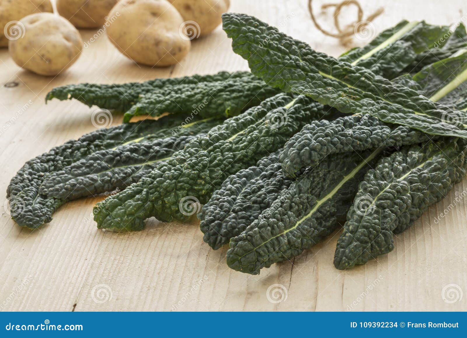 heap of fresh picked cavolo nero leaves