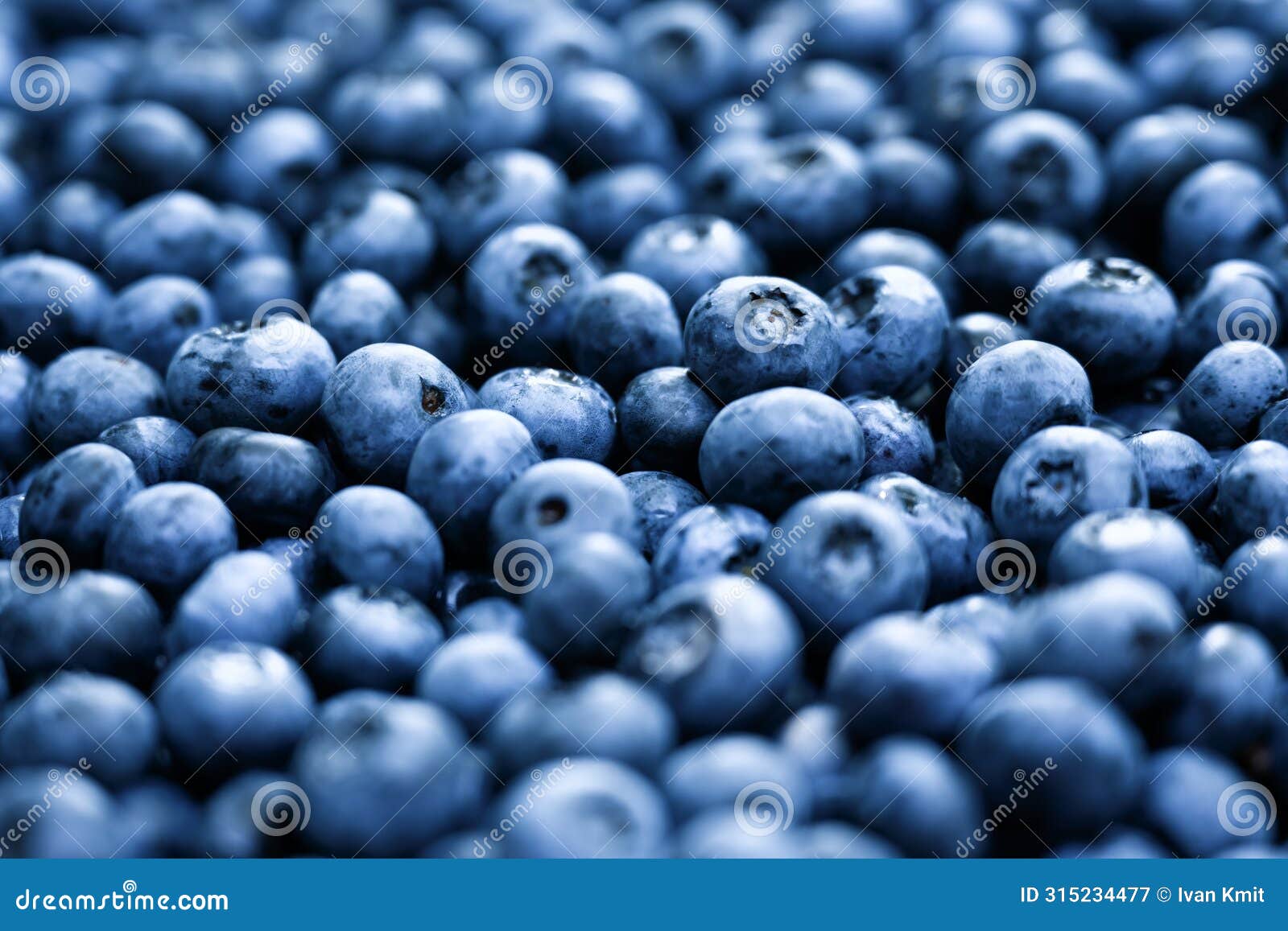 heap of fresh sweet blueberry berries closeup