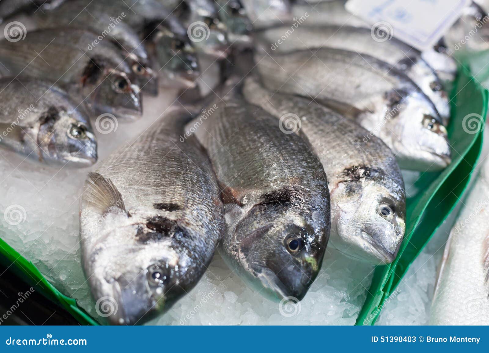 Heap of Frozen Sea Beam Fishes for Sale at a Stock Image - Image of