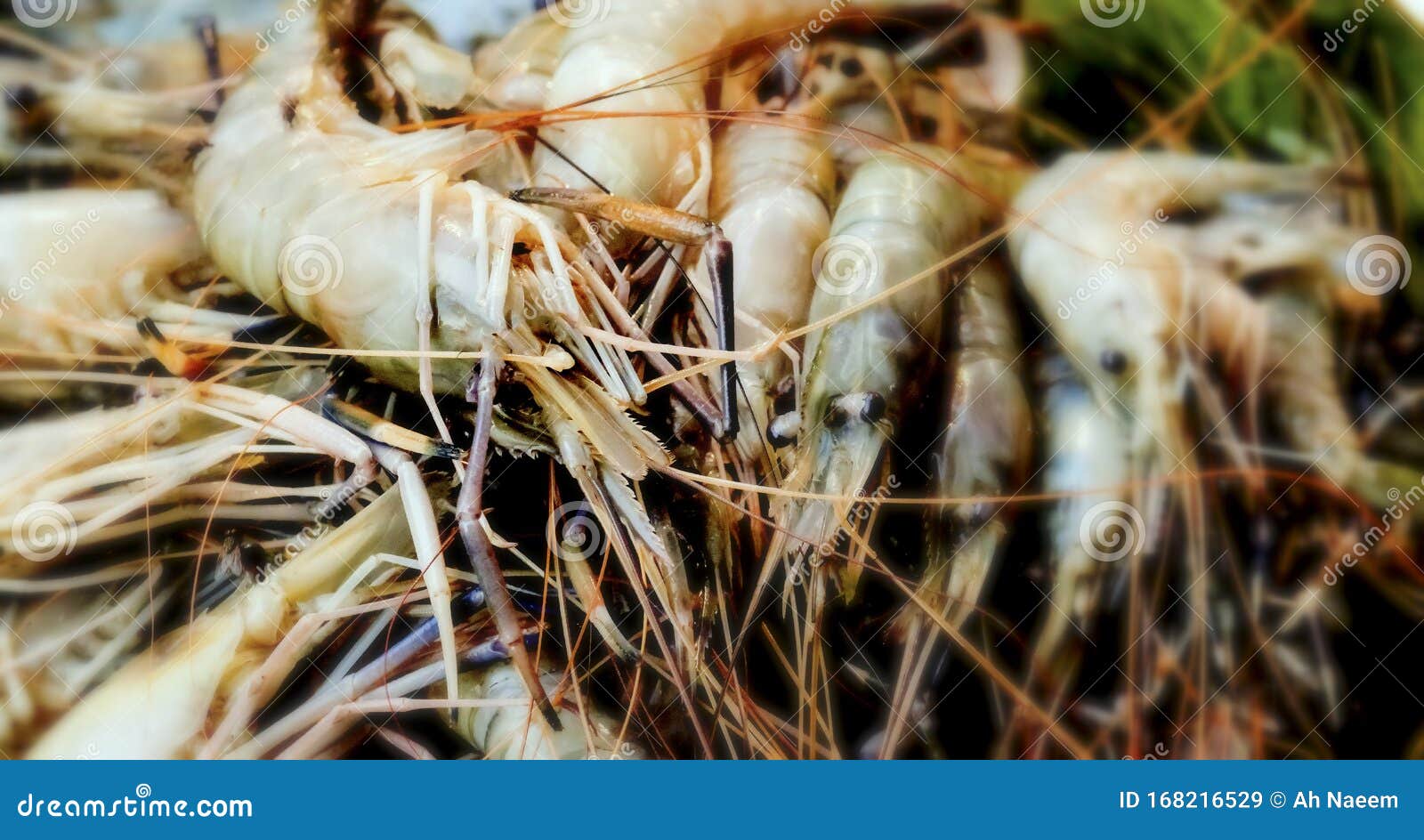 Heap of Golden White Shrimps Prawn Lobster Seafood for Sale in