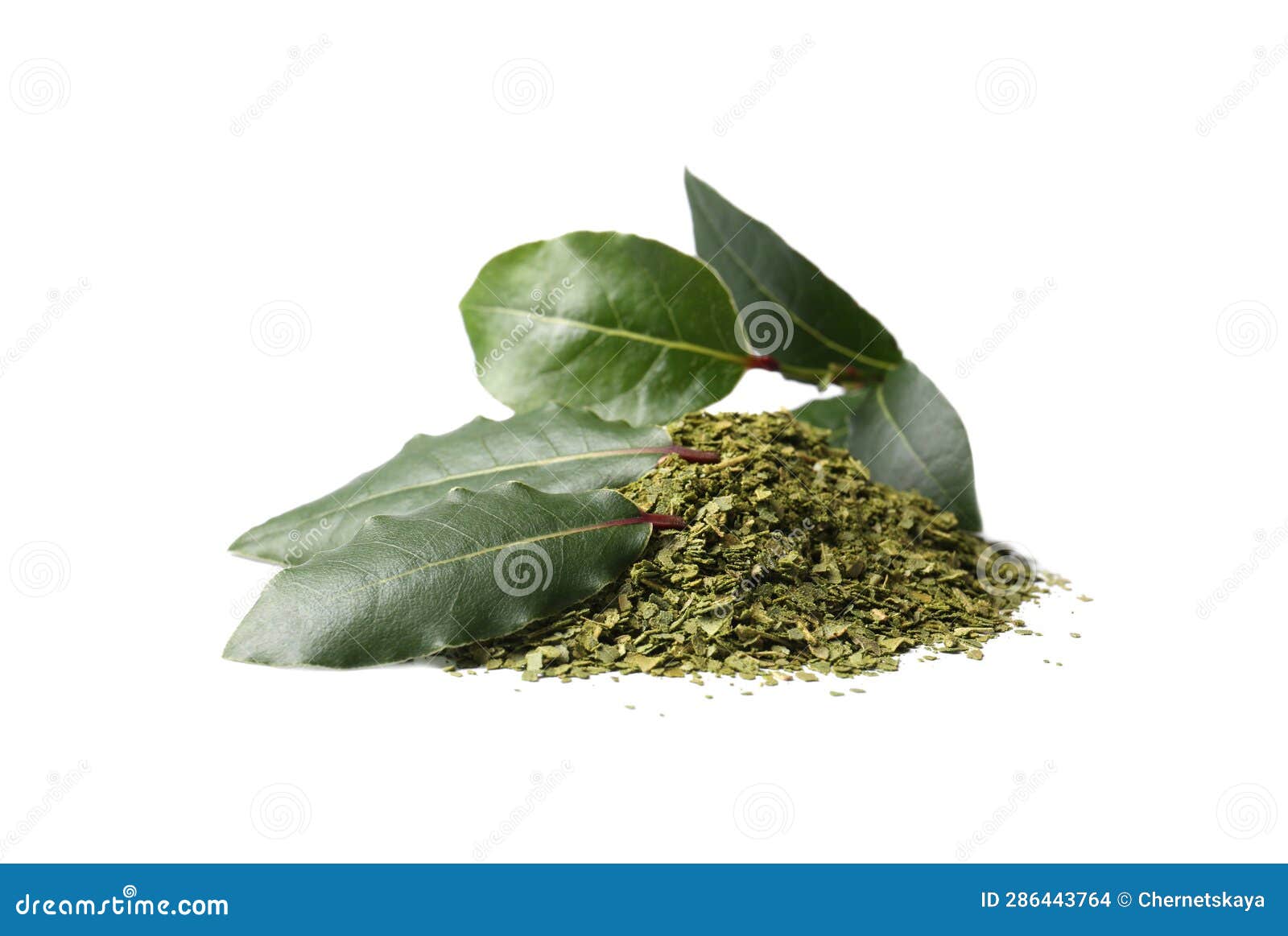 Heap of Ground Bay Leaves and Fresh Twig on White Background Stock