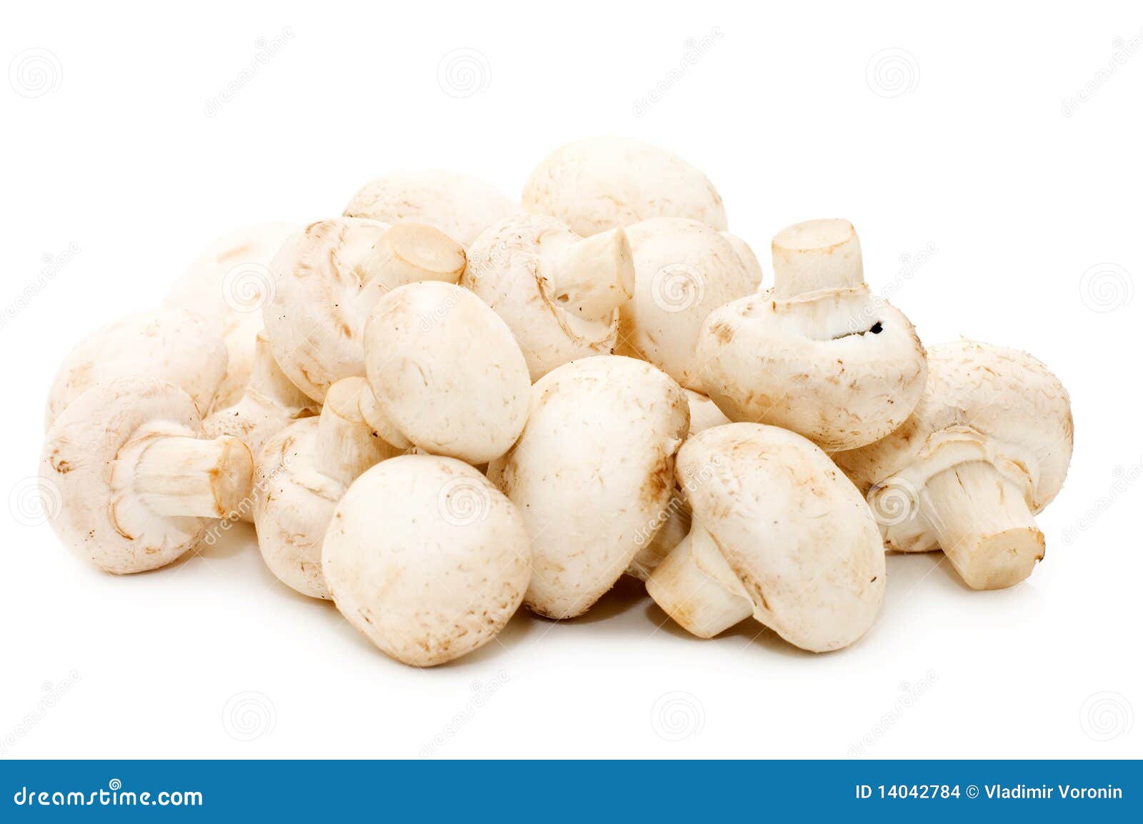 heap of of mushroom champignon