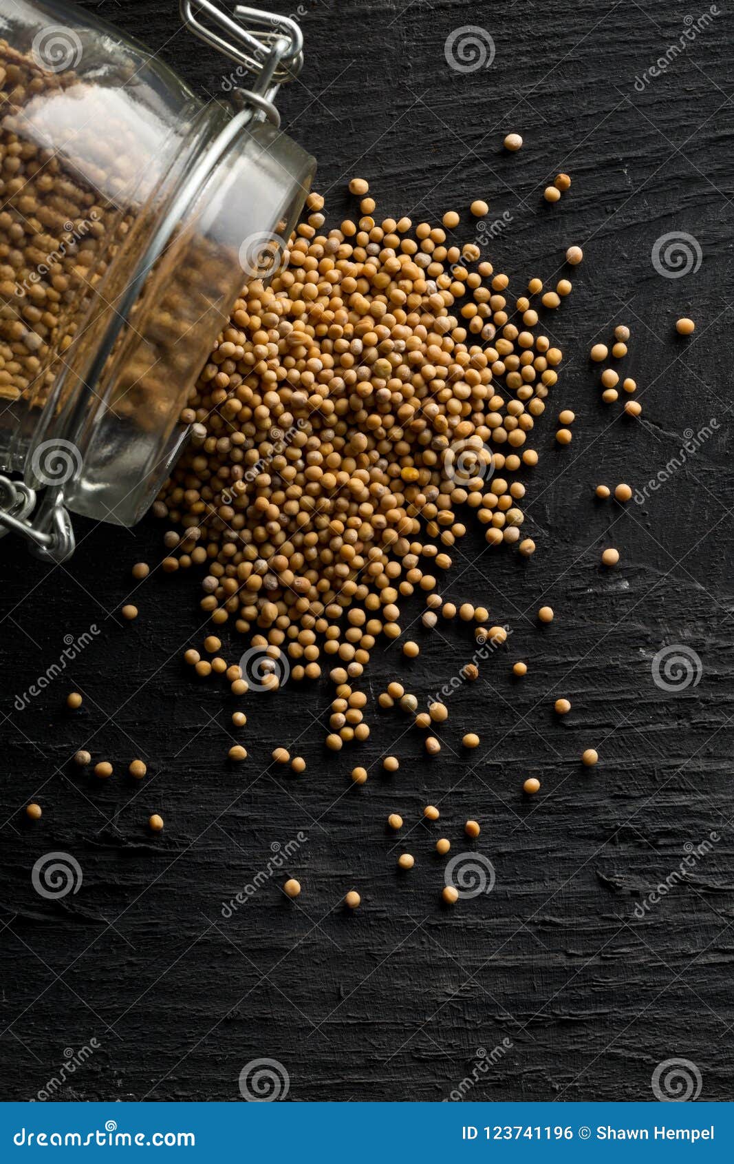 Heap of Raw, Unprocessed Mustard Seed Kernels in Glass Jar on Bl Stock