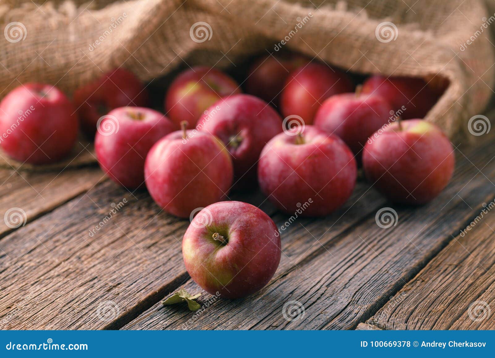 Fresh juicy apples on jute bag Photograph by B-d-s - Pixels