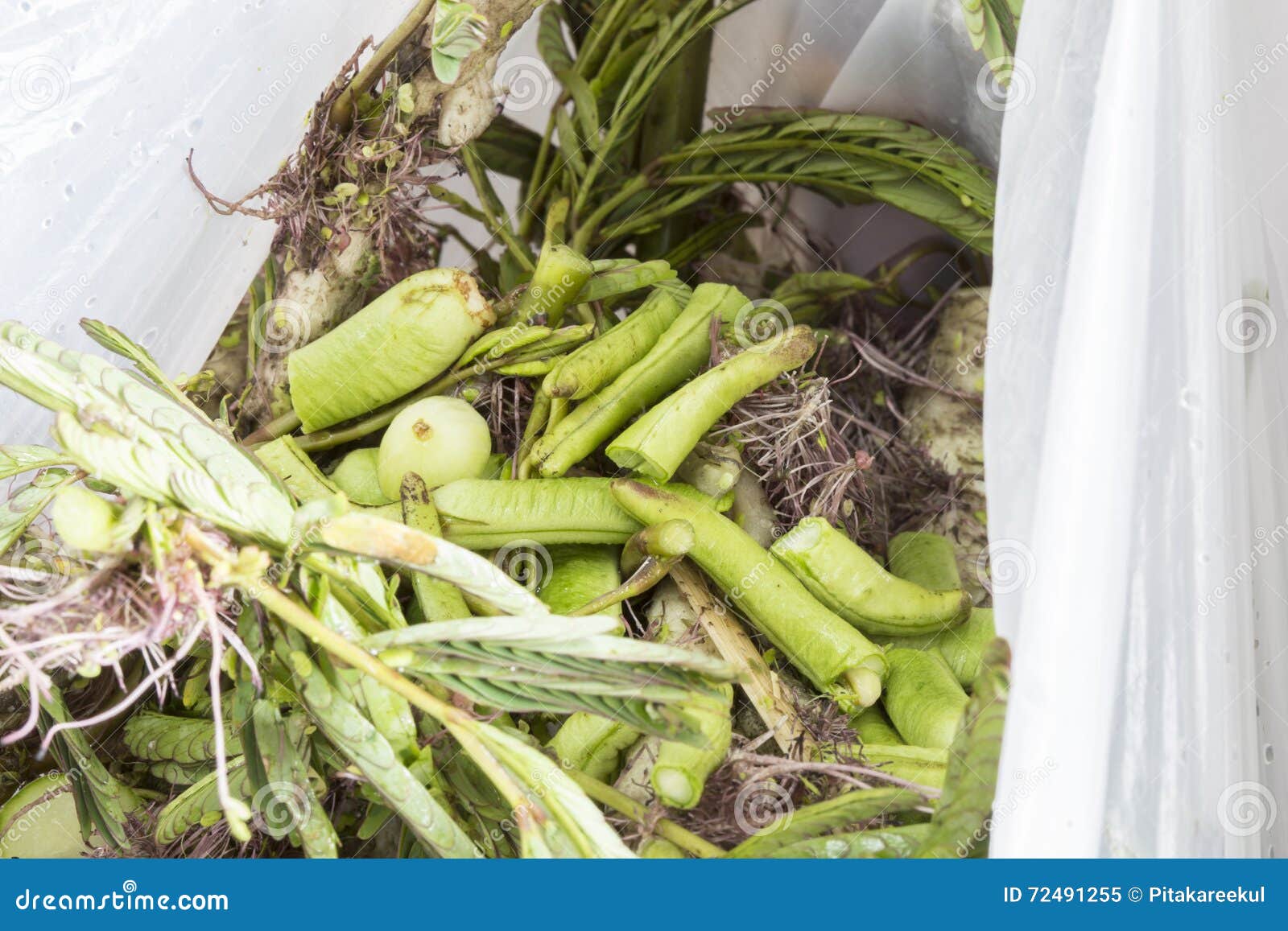 Heap of Waste Food in Trash Bag from Home with Selective Focus. Stock
