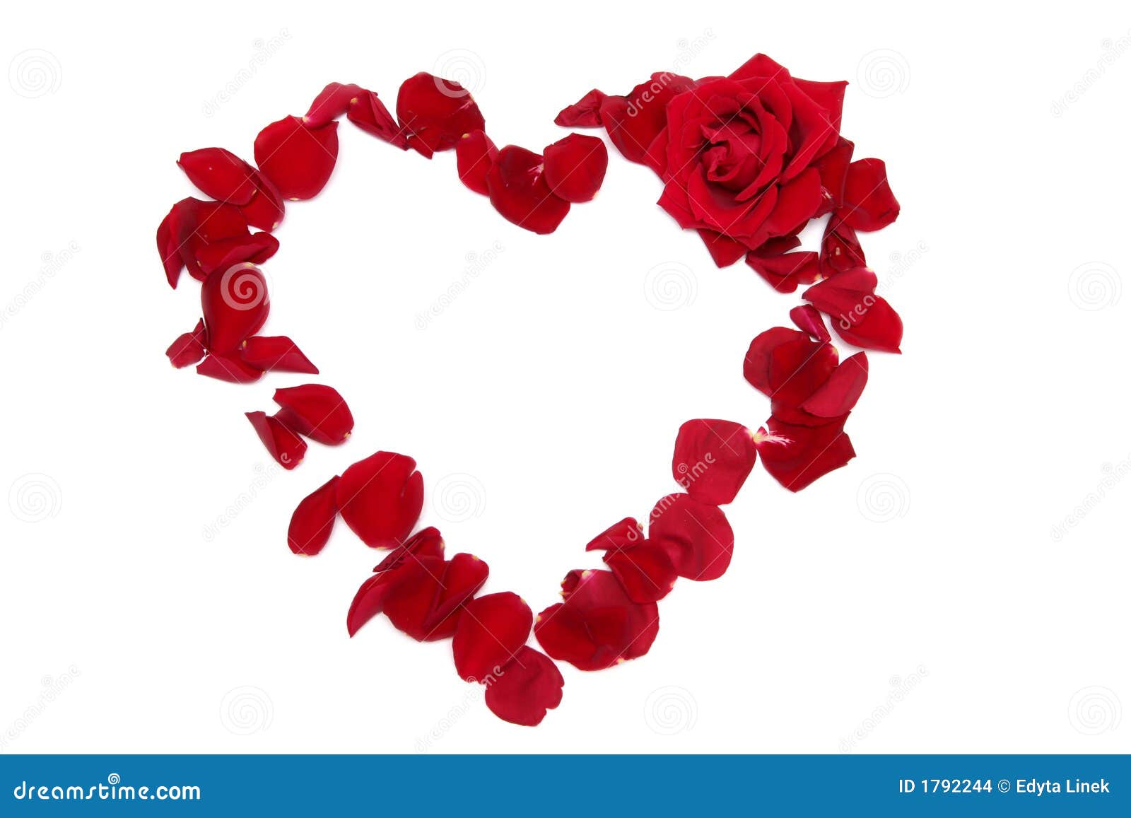 Heart stock photo. Image of frame, giving, flower, heart - 1792244