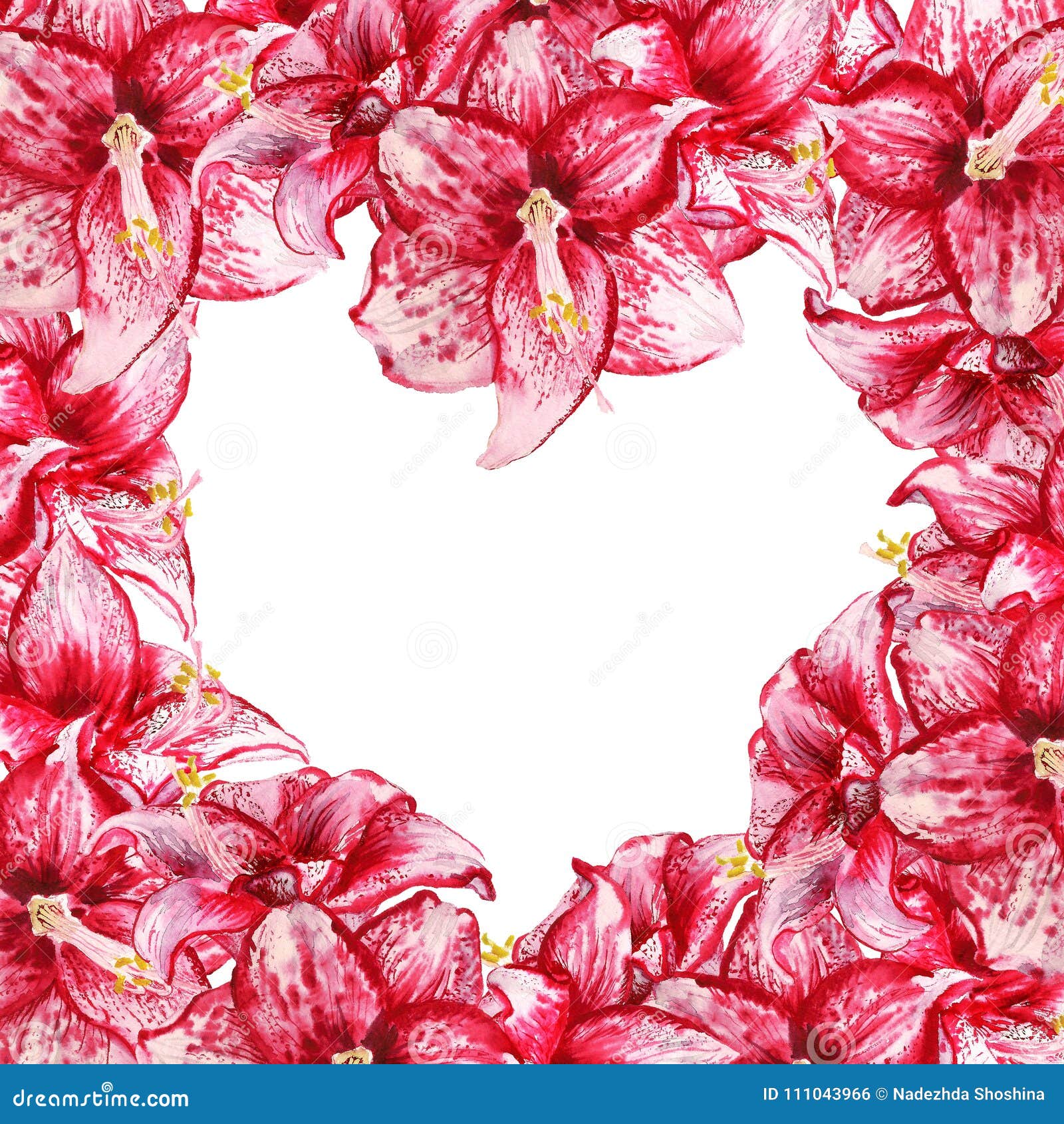 heart amaryllis frame
