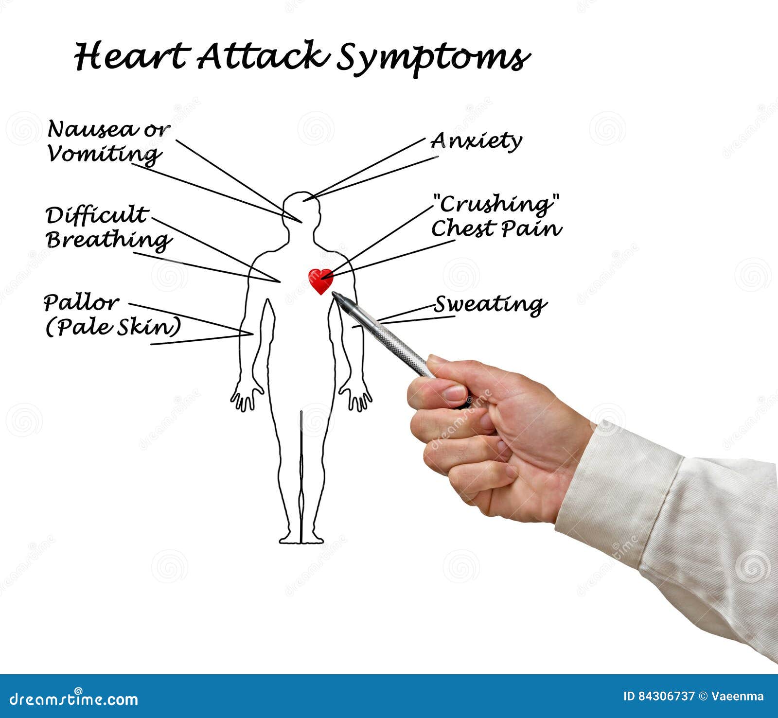 Heart Attack Symptoms Stock Image  Image Of Body