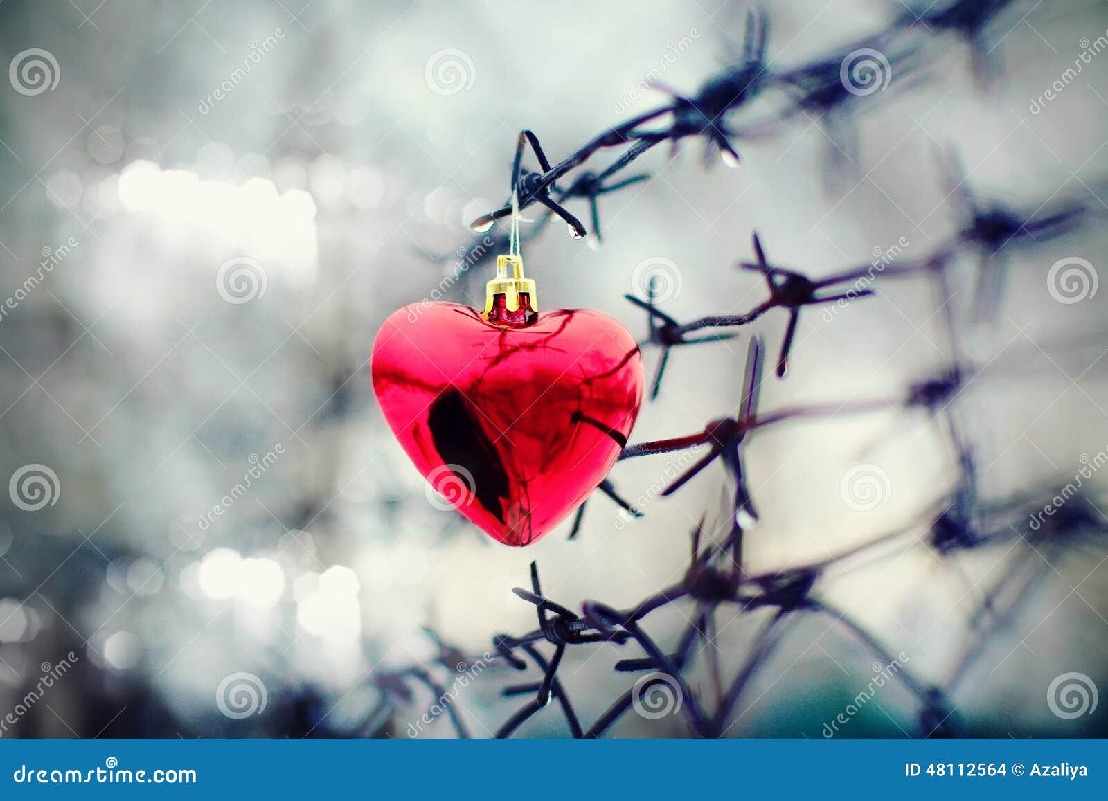 Heart and barbed wire stock photo. Image of frame, divorce 48112564