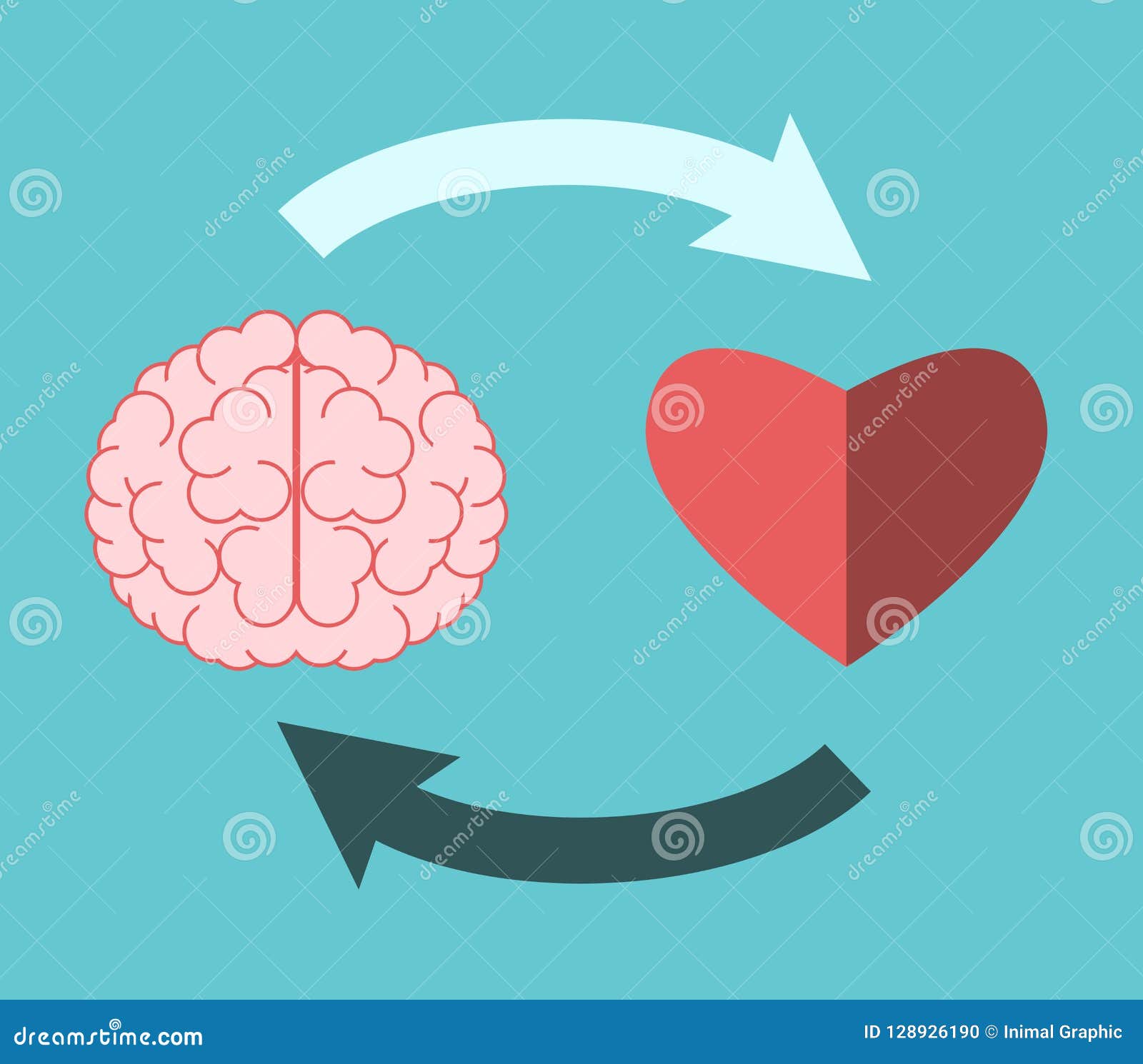 Dissertation heart and brain interrelation