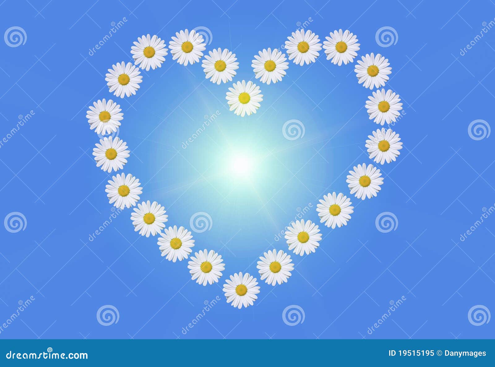 Heart and daisies stock image. Image of heart, symbol 19515195