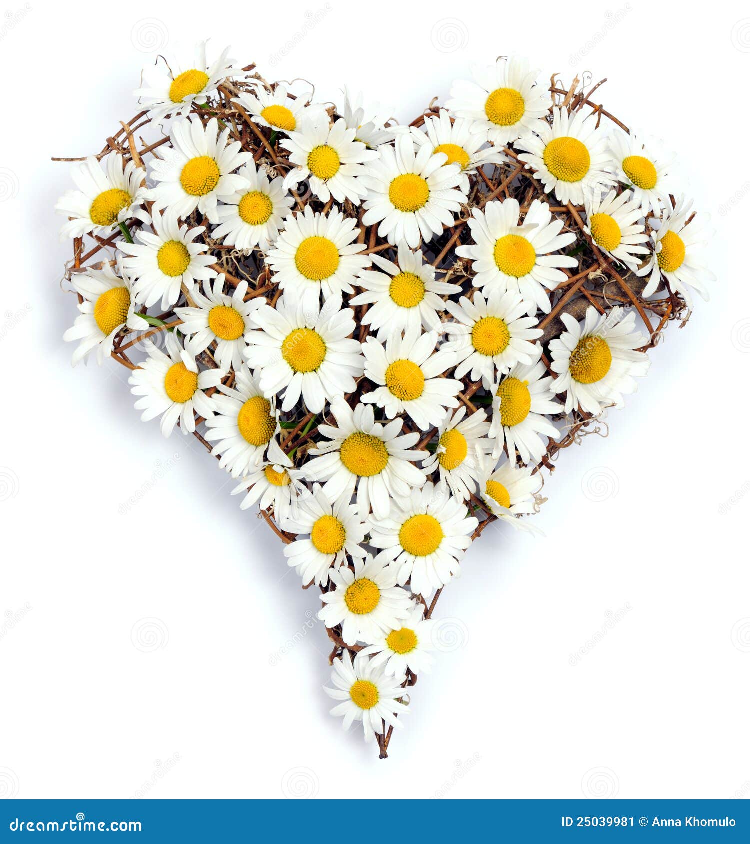 Heart of daisies stock image. Image of springtime, beautiful 25039981