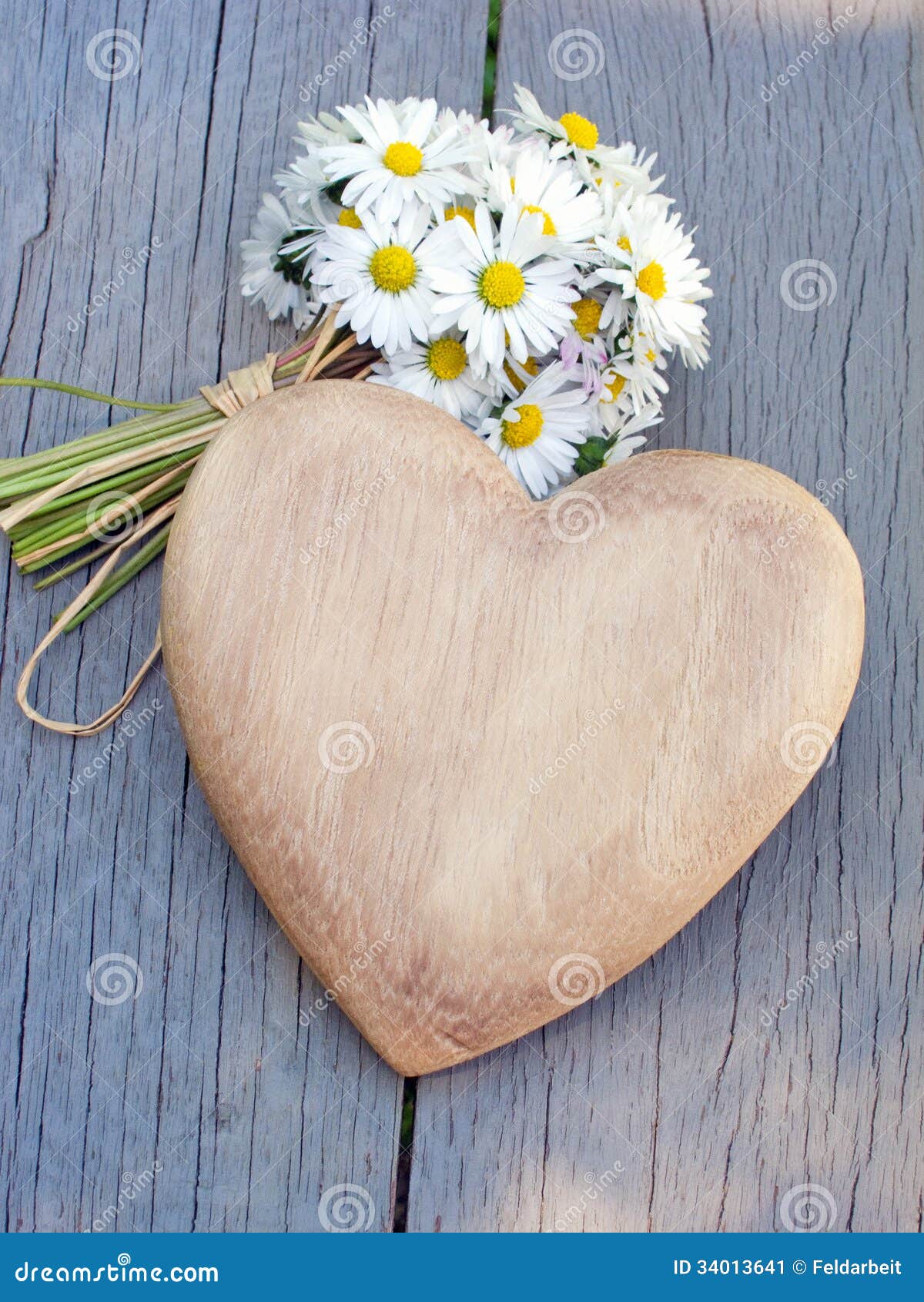 Heart and daisies stock image. Image of daisy, application 34013641