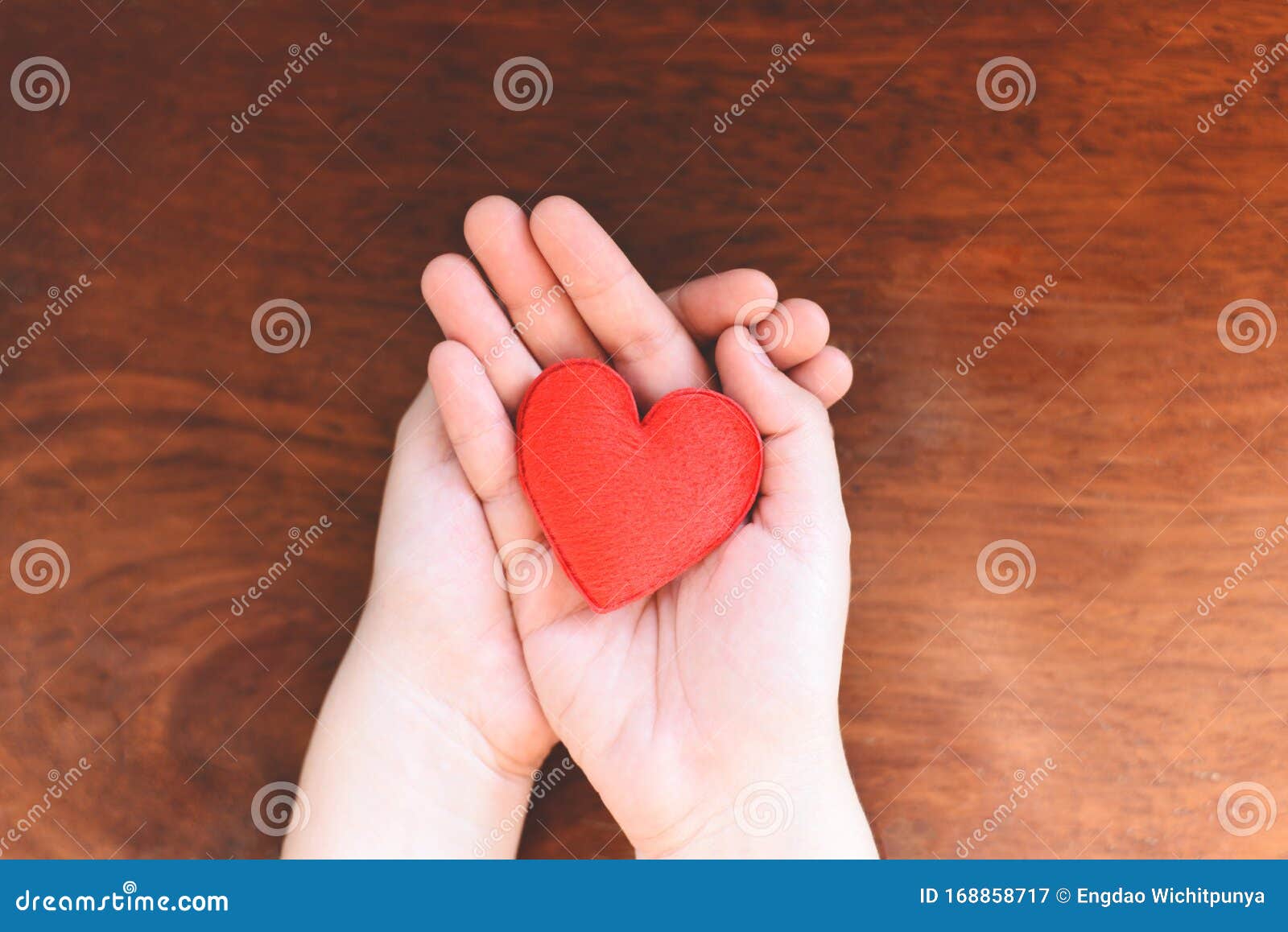 heart in hand for philanthropy concept - woman holding red heart on hands for valentines day or donate help give love warmth take