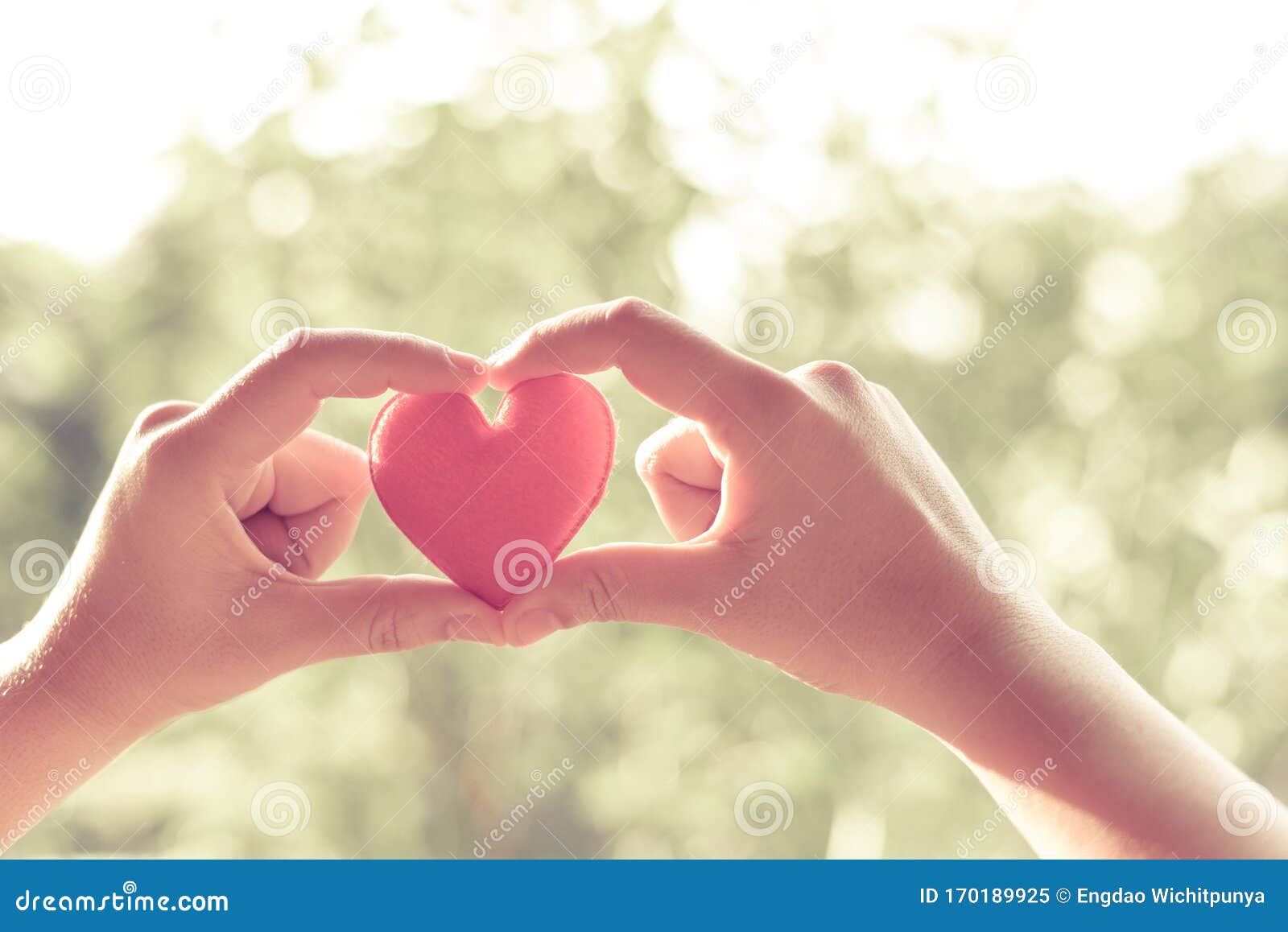 68 715 Give Love Photos Free Royalty Free Stock Photos From Dreamstime 68 715 Give Love Photos Free Royalty Free Stock Photos From Dreamstime
