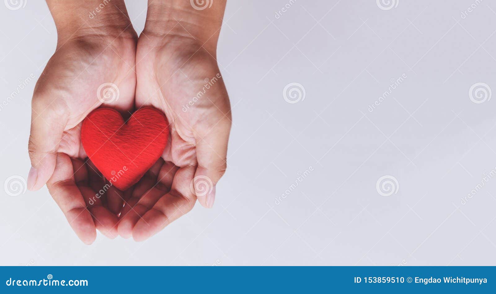 Heart On Hand For Philanthropy Woman Holding Red Heart In Hands For Valentines Day Or Donate Help Give Love Warmth Take Care Stock Photo Image Of Blood Healthy