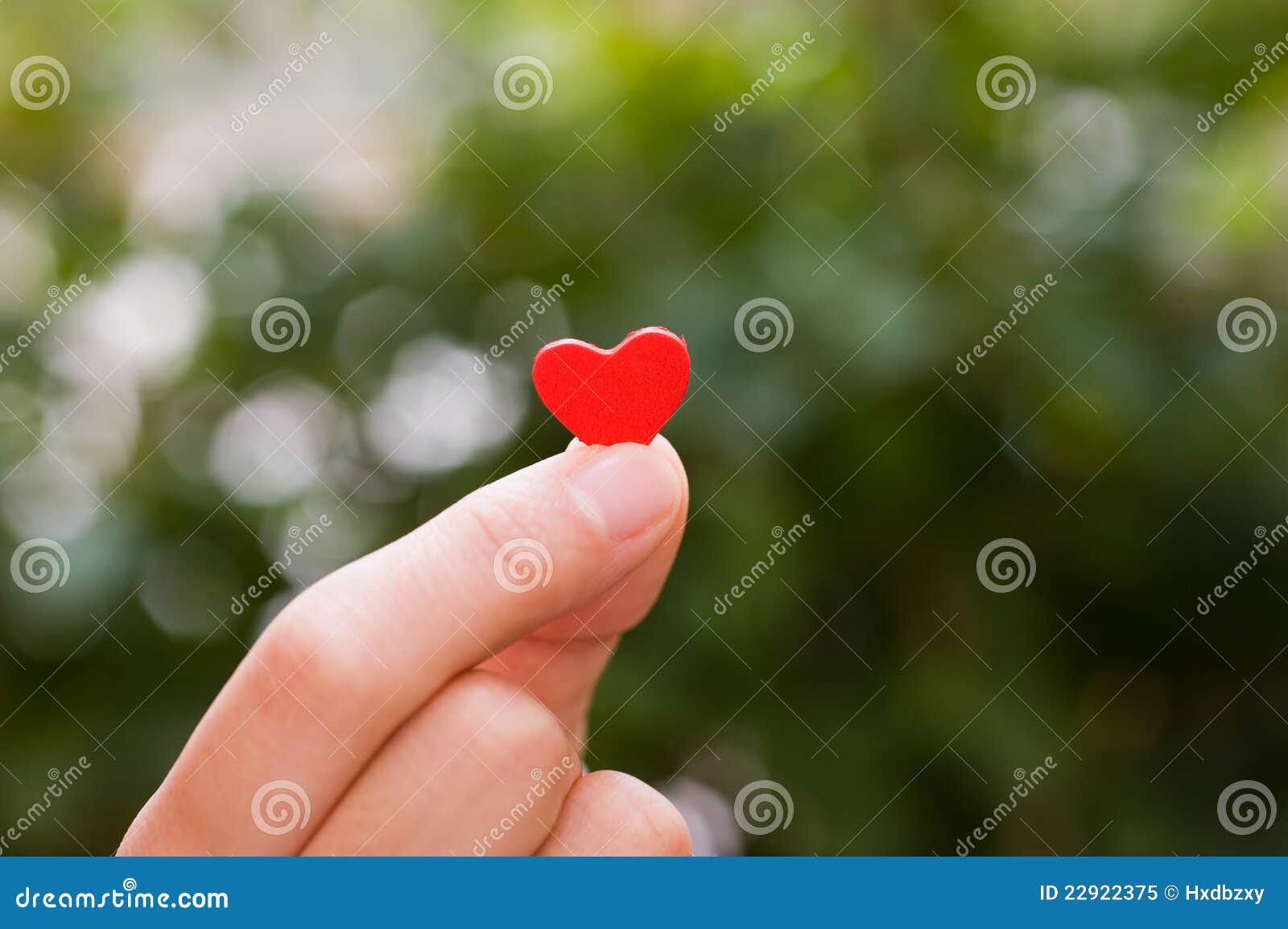 Heart in the hands stock image. Image of devotion, copy - 22922375