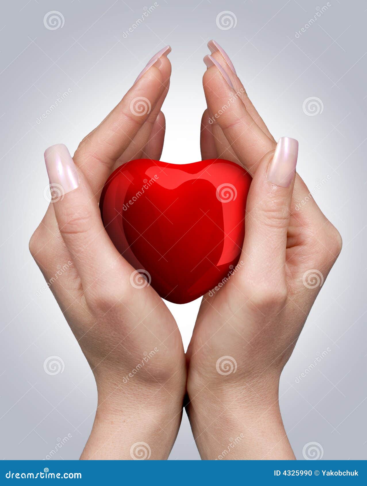 Heart in hands stock photo. Image of hold, care, hope 4325990