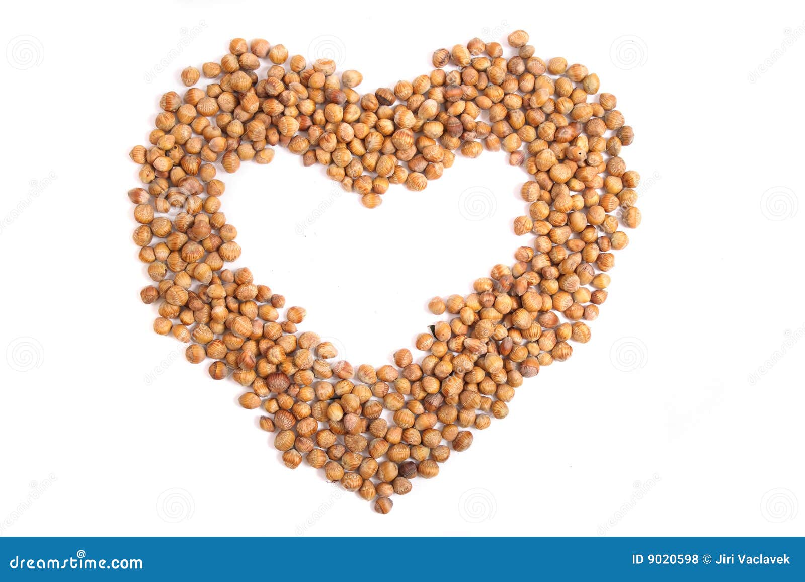 Heart from hazel nuts stock photo. Image of closeup, ingredient 9020598