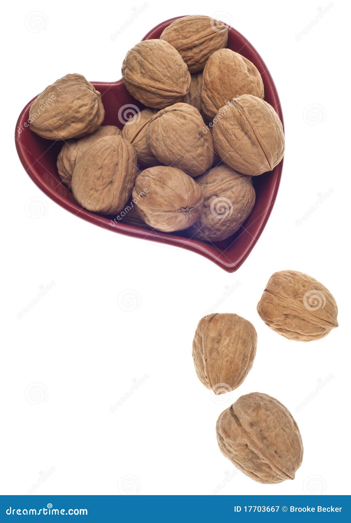 Heart Healthy Walnuts stock image. Image of studio, still 17703667